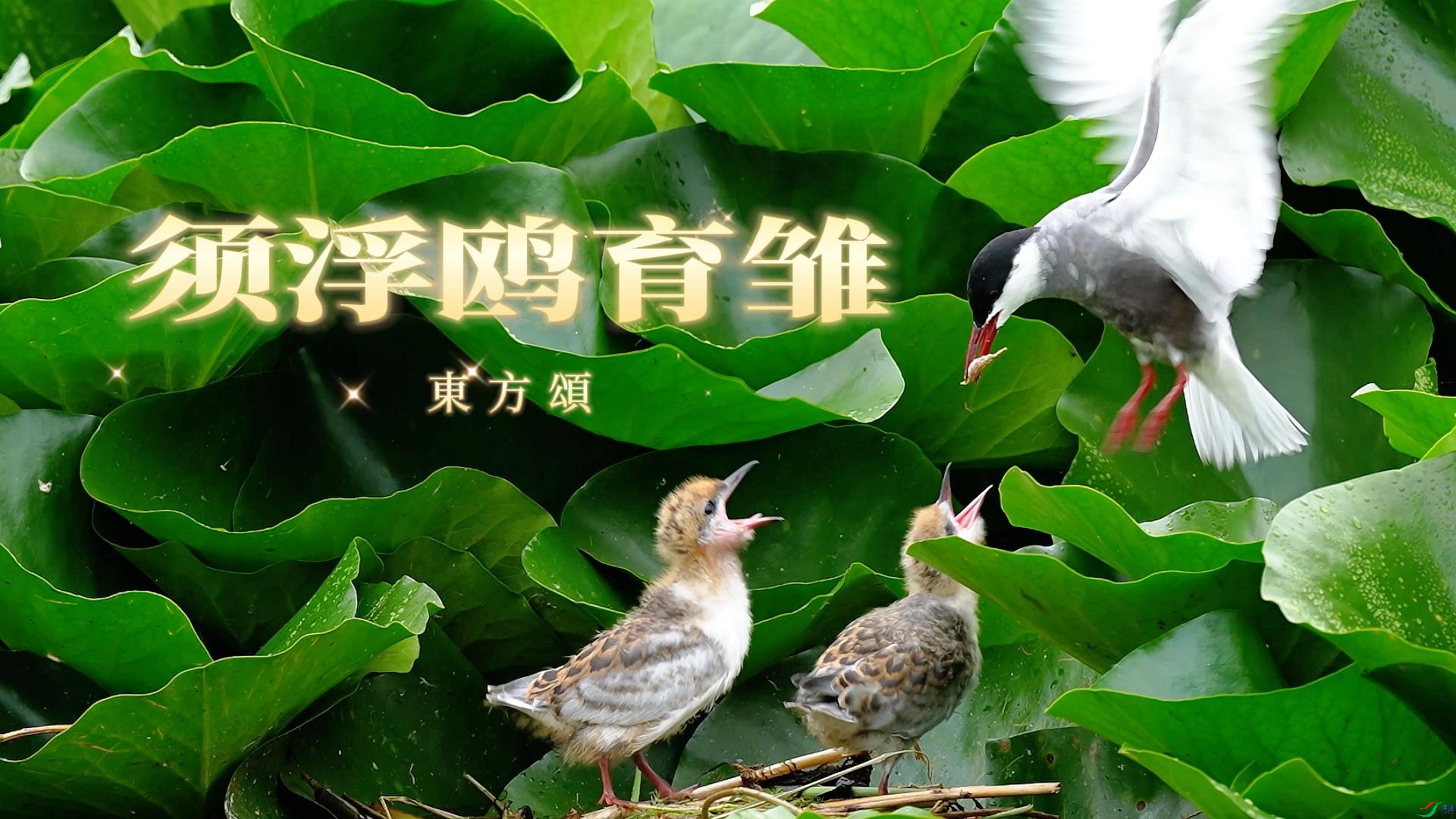 8��2�� (1)AAA-����.jpg