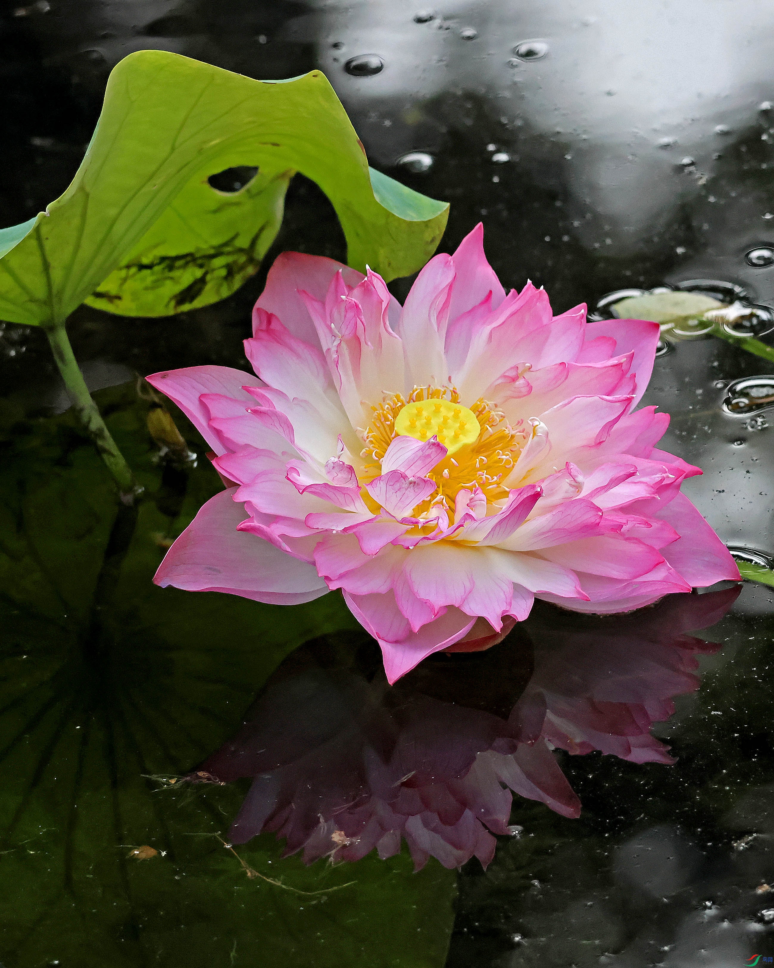 2G9A9992.JPG