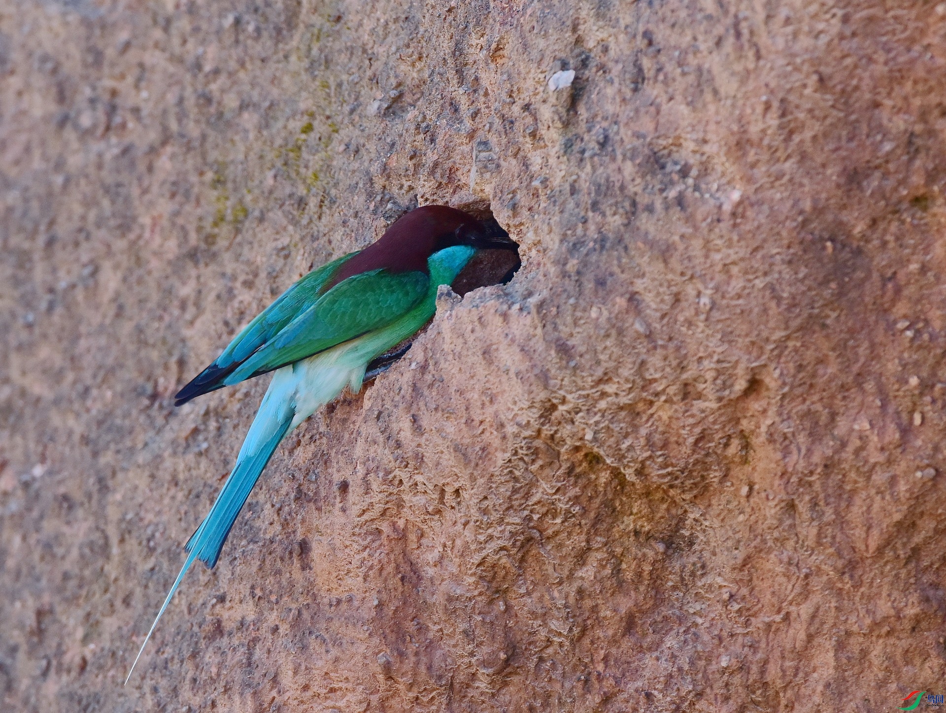 D8I_5814.jpg