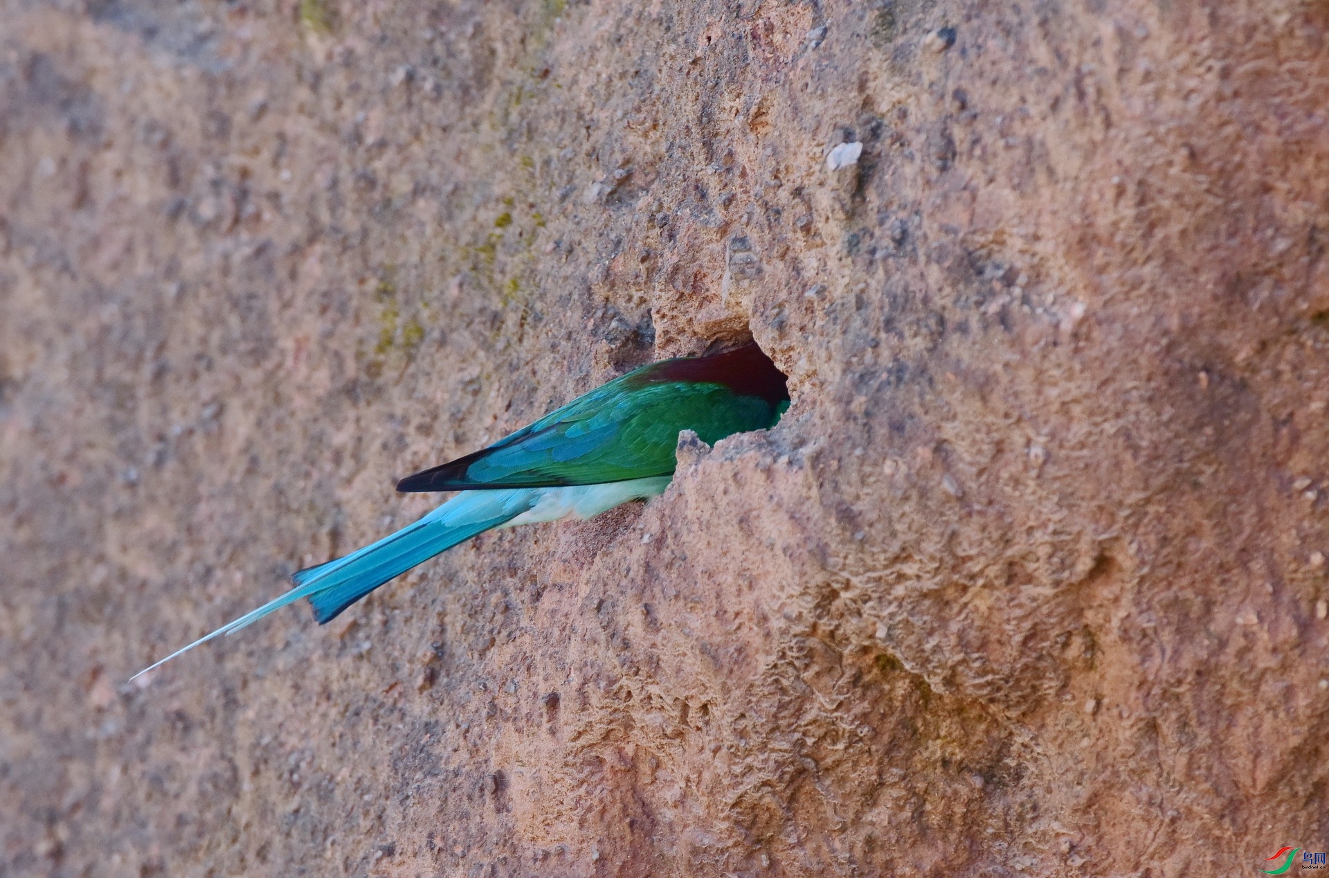 D8I_5815.jpg