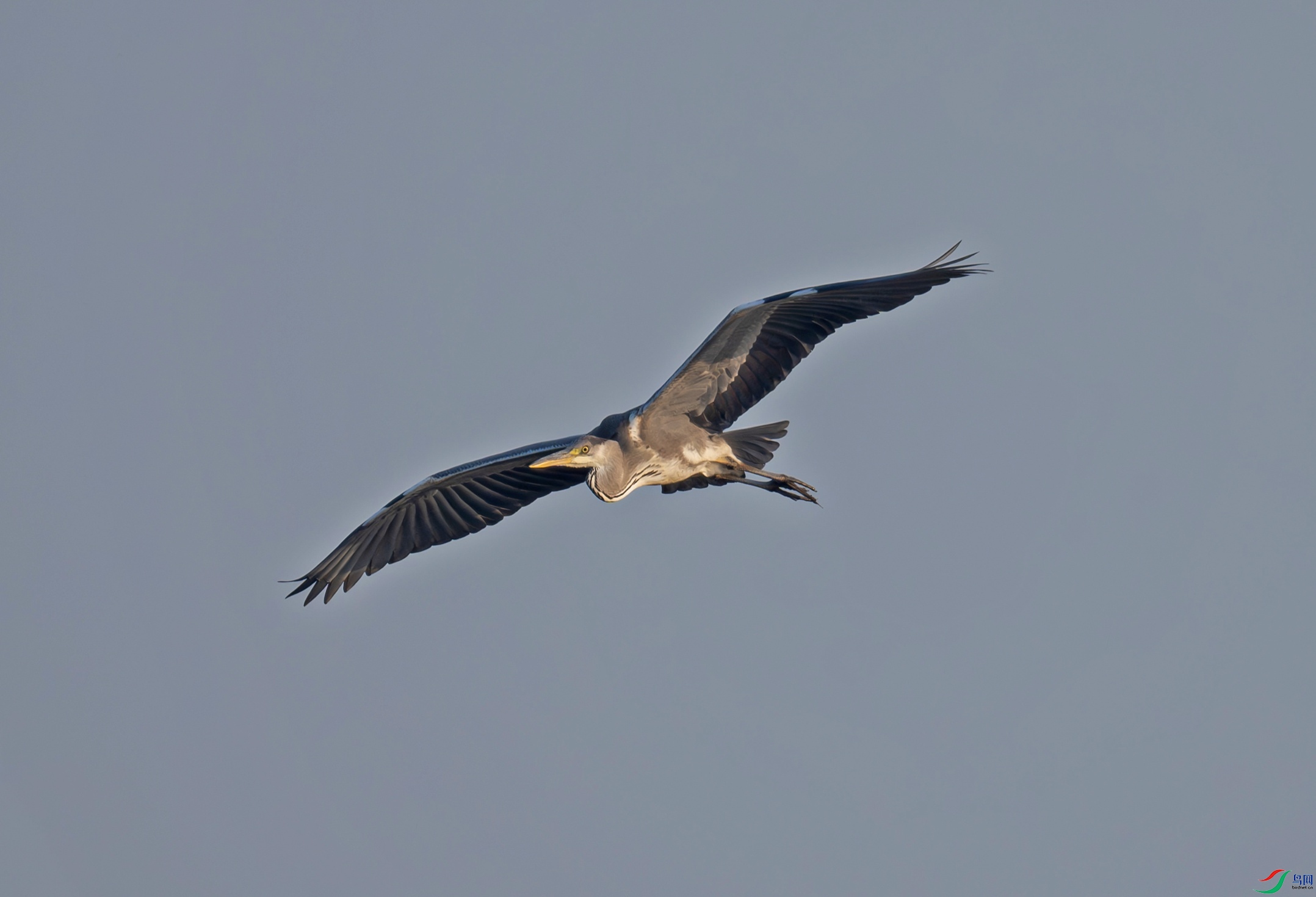 _DSC7394f.jpg