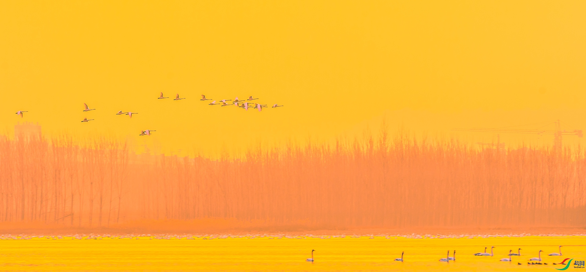 _DSC8870.jpg