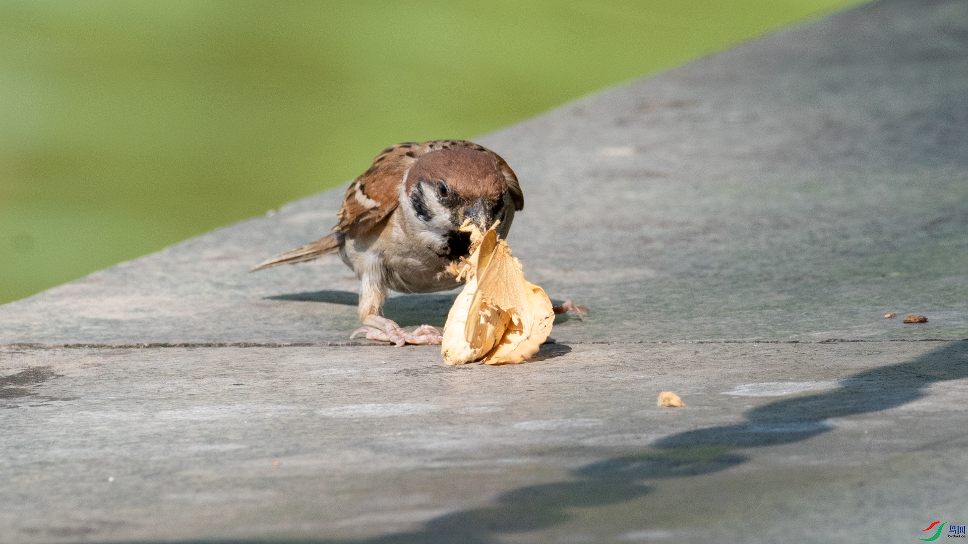 DSC_4868.jpg
