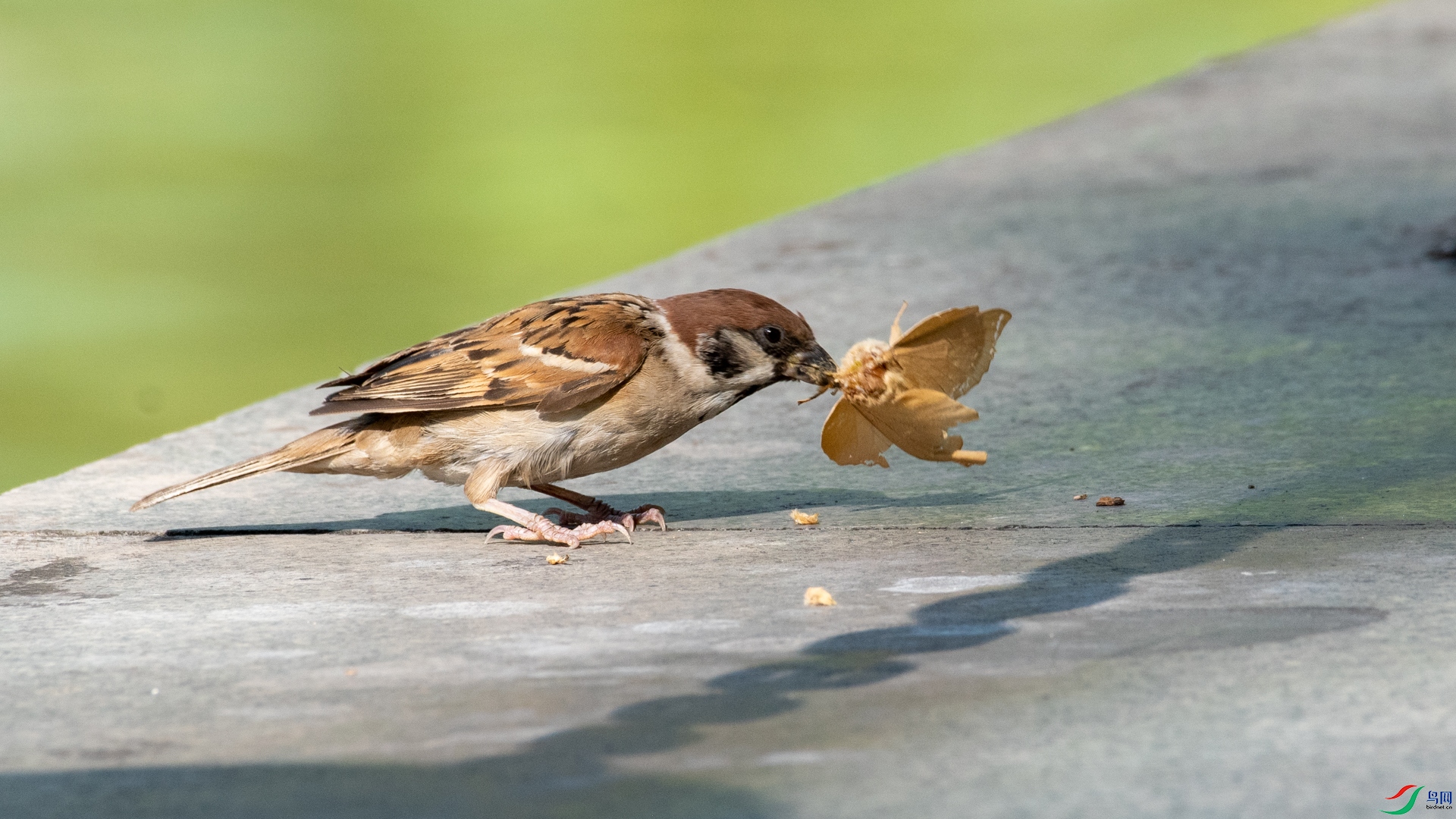 DSC_4880.jpg