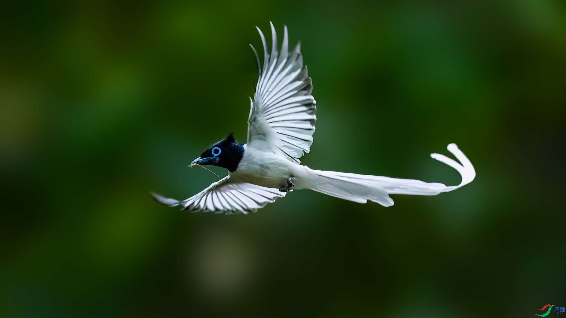 8.1 ��ı�Ե��ʦ��Ʒ  ���ٴ�  �ٻ�2024��8��1��������ҳ����.jpg