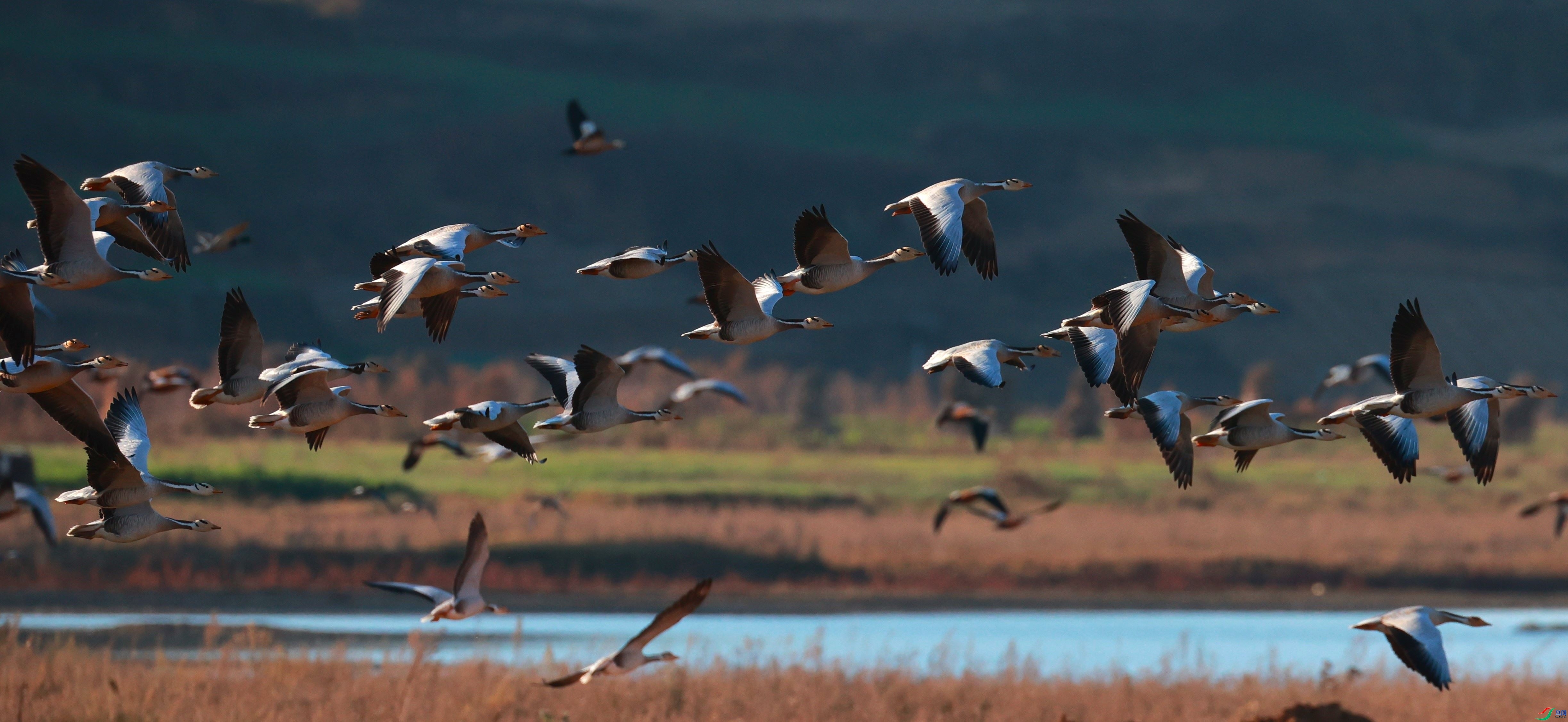 8.1 ������ɽ���ʦ��Ʒ  ����ֱǰ  �ٻ�2024��8��1�ջ�Ա��ҳ����.jpg