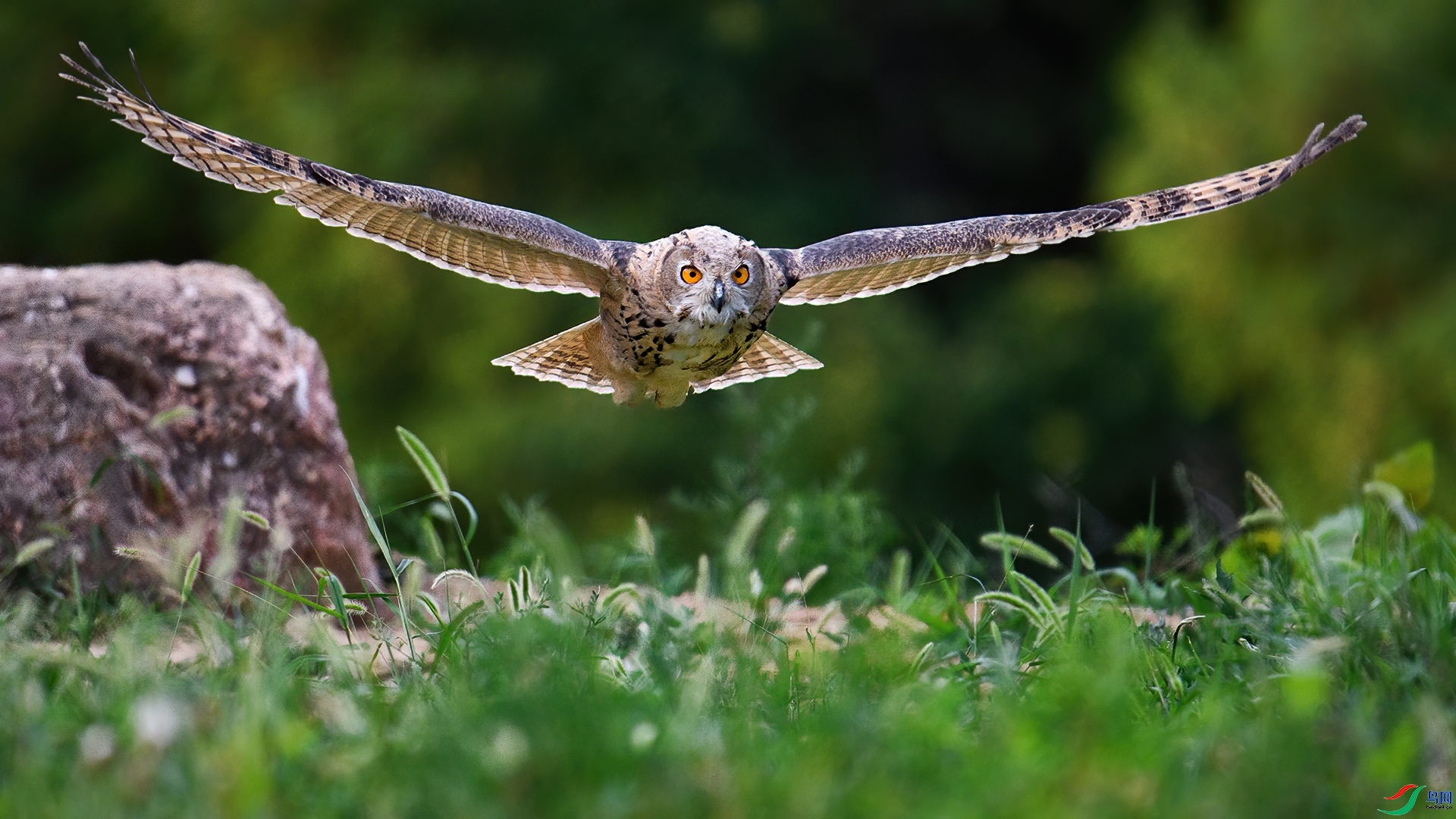 8.1 ɽ��ˮ����ʦ��Ʒ  �������  �ٻ�2024��8��1�հ�����ҳ����.jpg