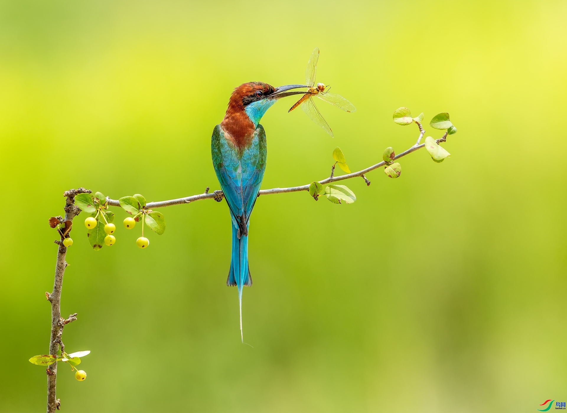 8.1 л������ʦ��Ʒ  �����仢 �ٻ�2024��8��1�հ�����ҳ����.jpg