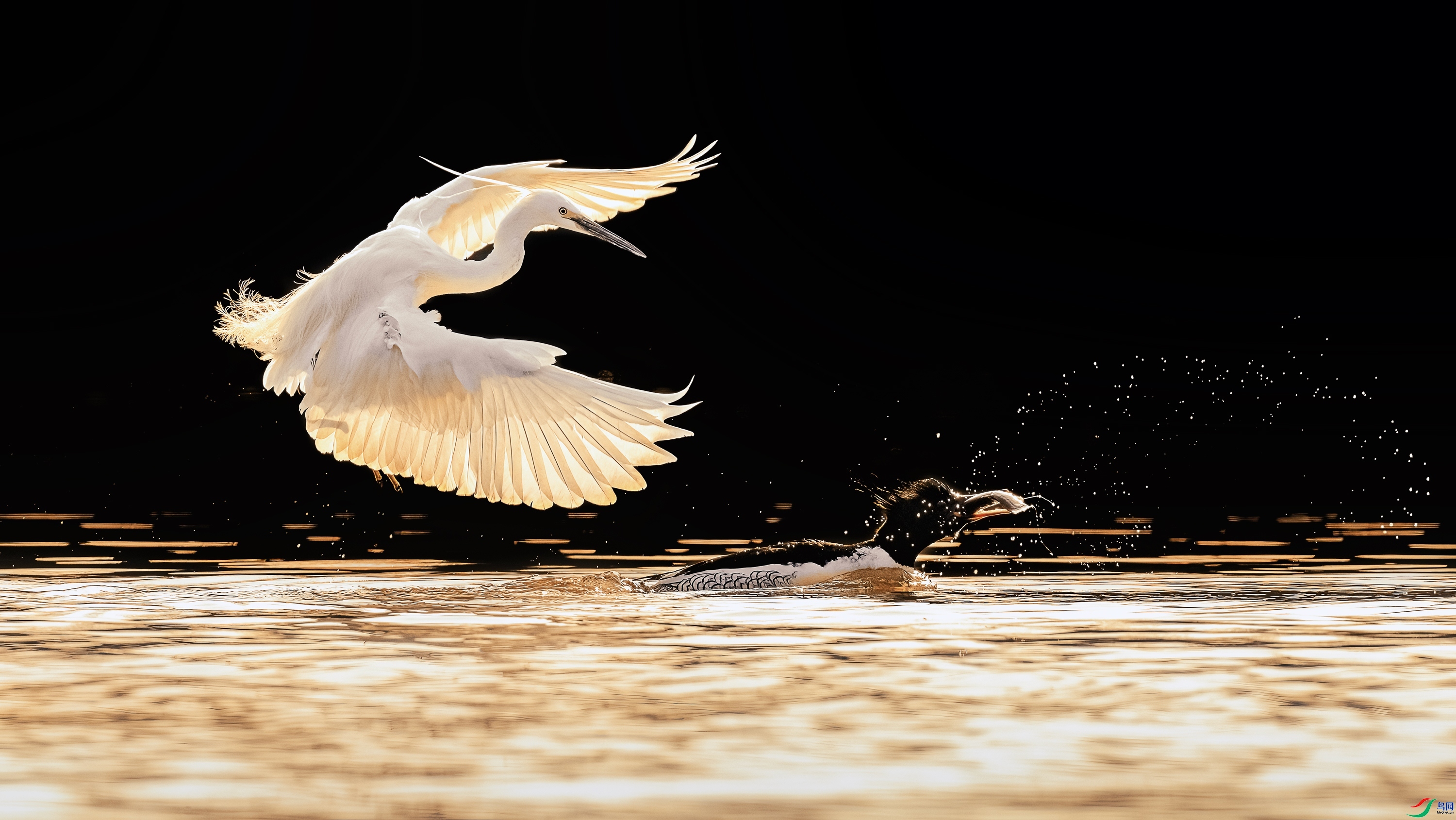 8.2 Hsia��ʦ��Ʒ  ͵Ϯ  �ٻ�2024��8��2�հ�����ҳ����.jpg