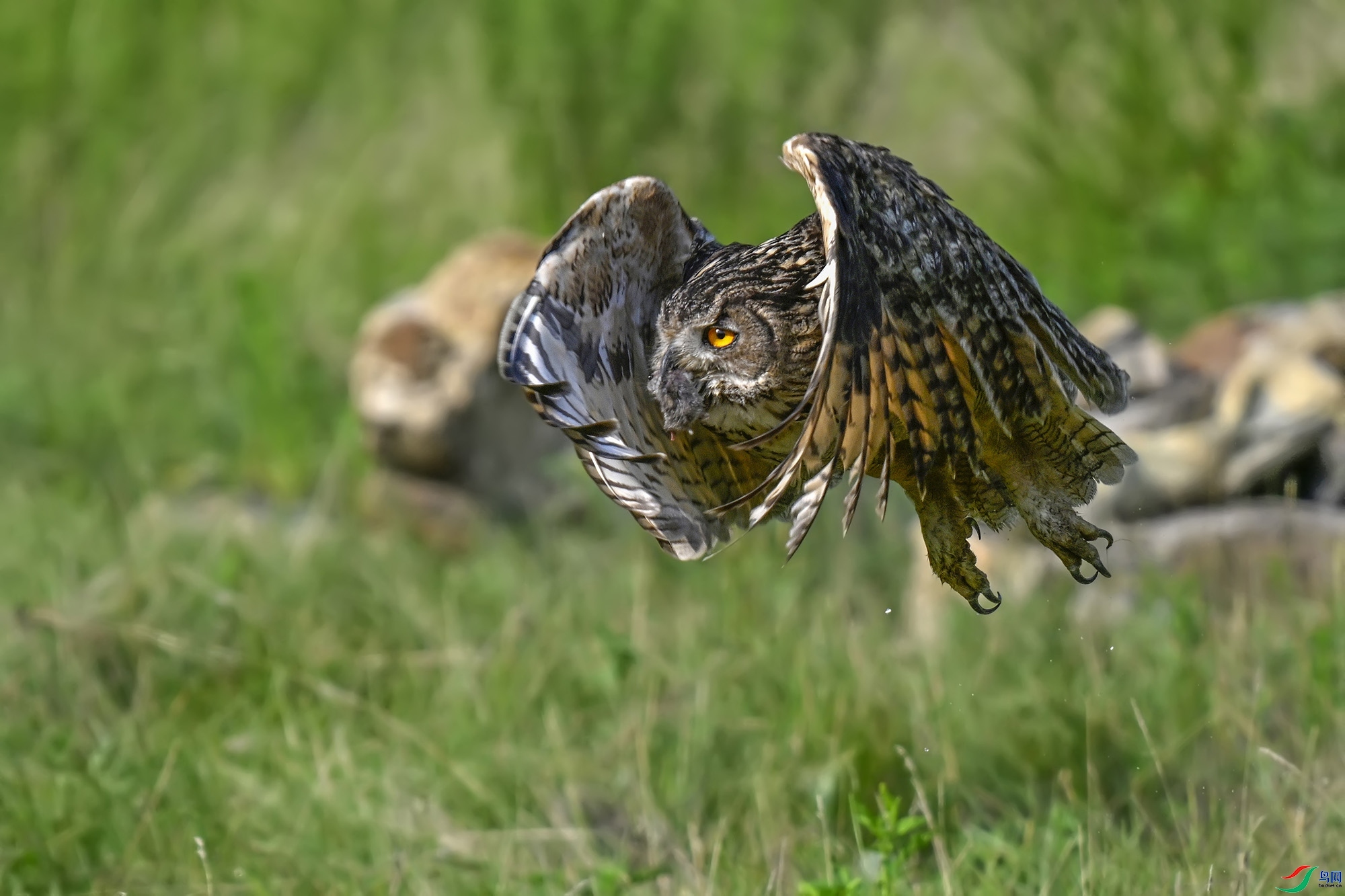 8.2 �Ͷ���ʦ��Ʒ  �ܷ�  �ٻ�2024��8��2�ջ�Ա��ҳ����.jpg