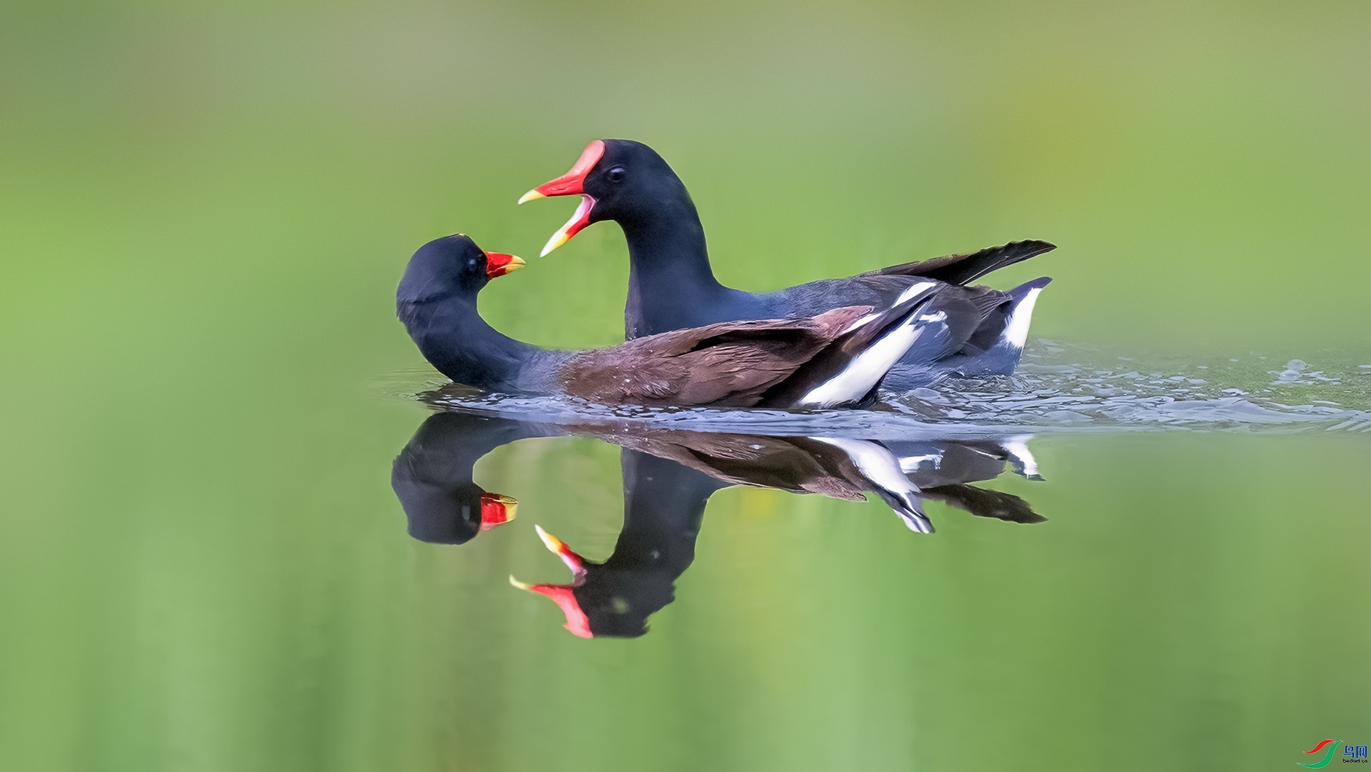 8.2 ��ı�Ե��ʦ��Ʒ ��������  �ٻ�2024��8��2��������ҳ����.jpg