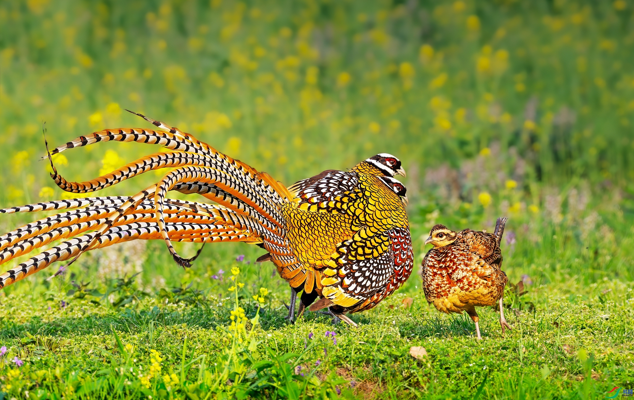 8.2 ����������ʦ��Ʒ  ���ⰻȻ  �ٻ�2024��8��2�հ�����ҳ����.jpg