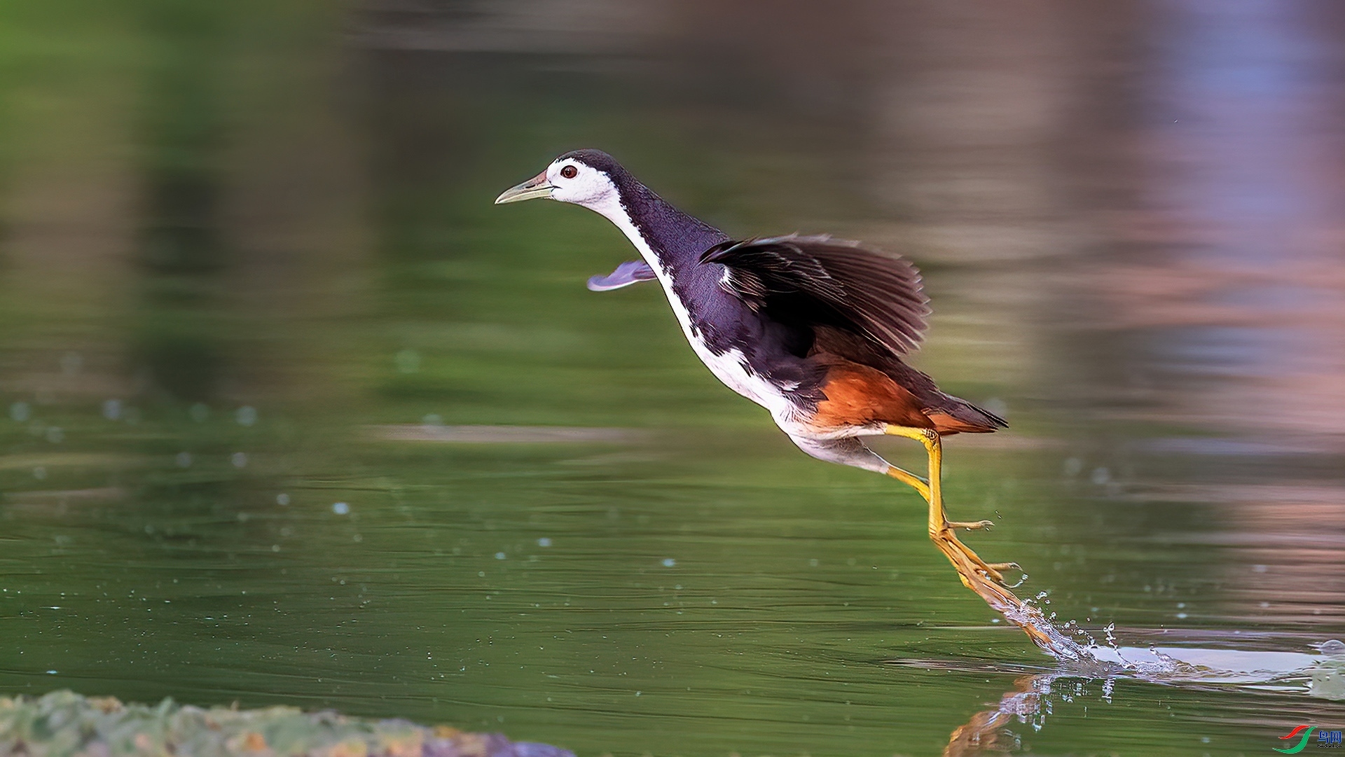 8.2 ɽ��ˮ����ʦ��Ʒ  ���ؿ����  �ٻ�2024��8��2�հ�����ҳ����.jpg