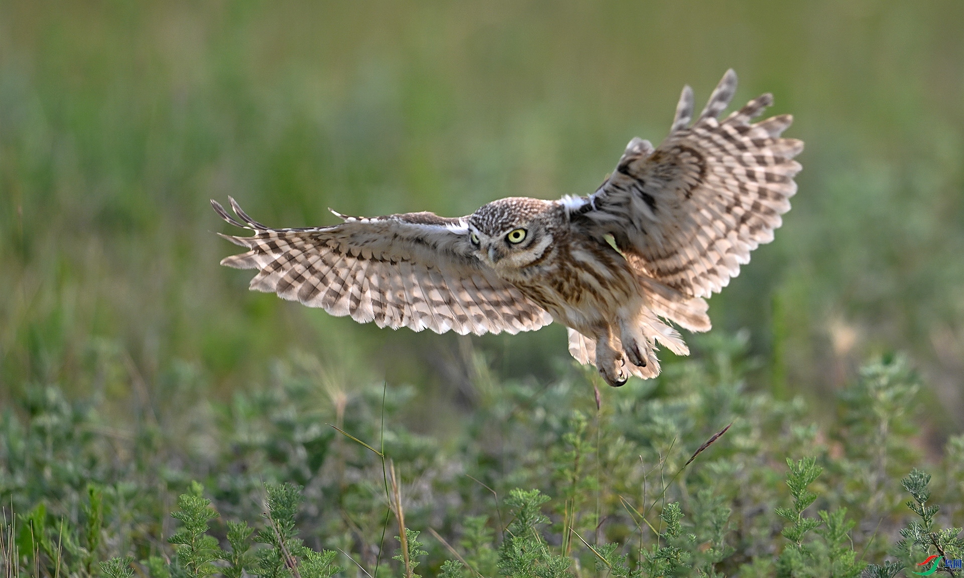 8.2 ��������ʦ��Ʒ ���Ƹ�С�^  �ٻ�2024��8��2����Ӱʦ��ҳ����.jpg