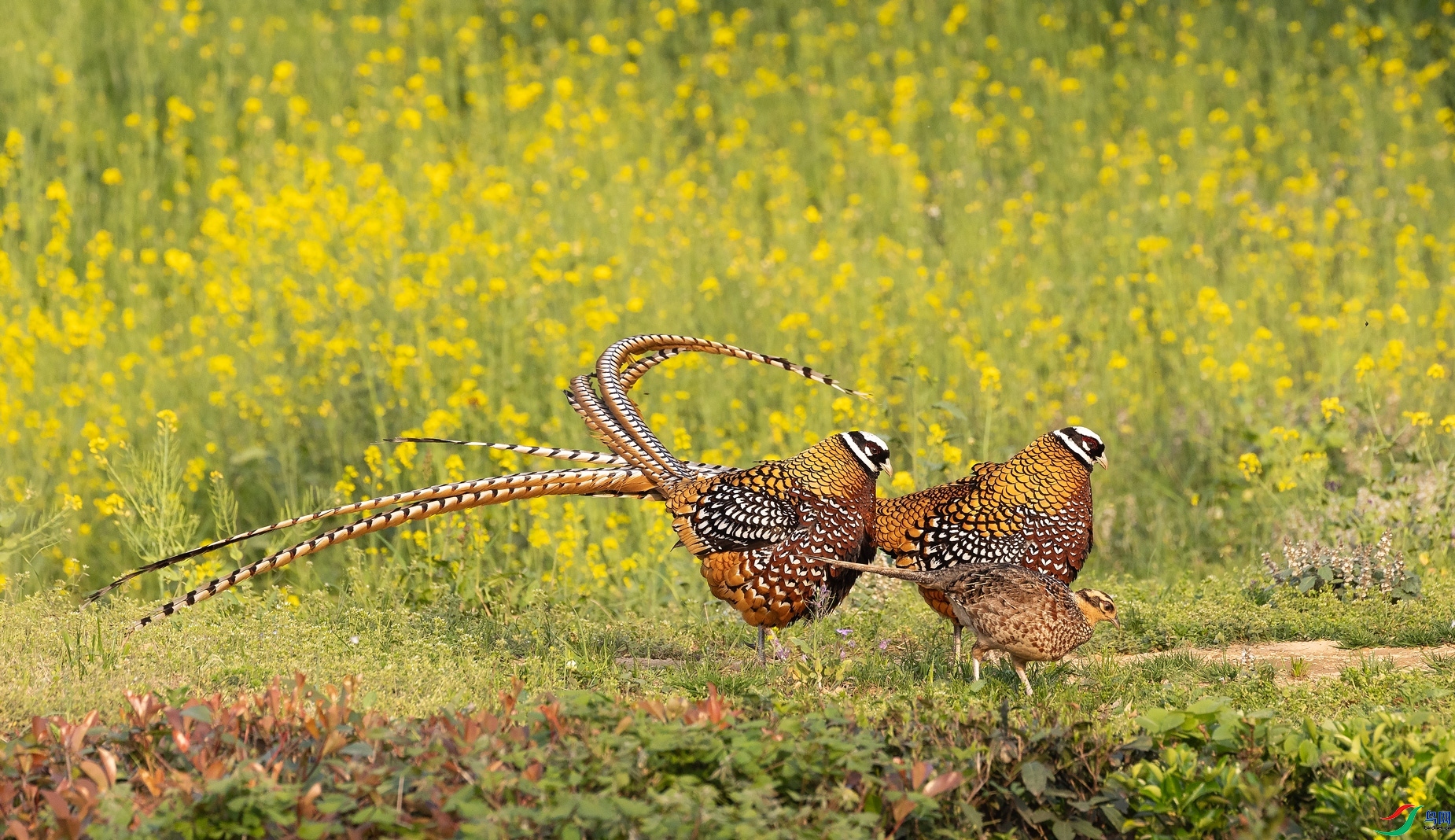 8.3 л������ʦ��Ʒ  ˫�����6  �ٻ�2024��8��3�հ�����ҳ����.jpg