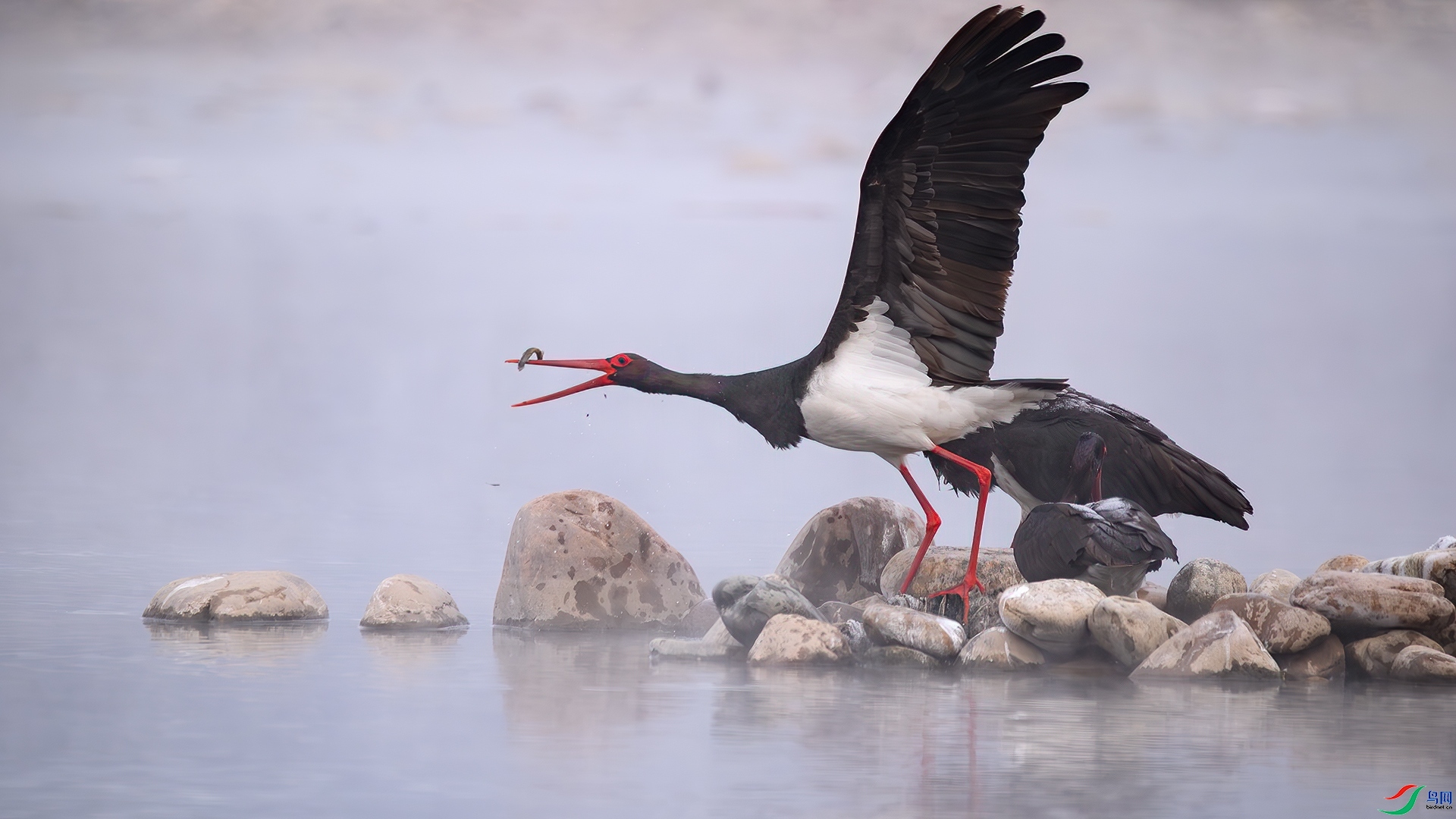 8.3 ����¥̨��ʦ��Ʒ  ���������������  �ٻ�2024��8��3��������ҳ����.jpg