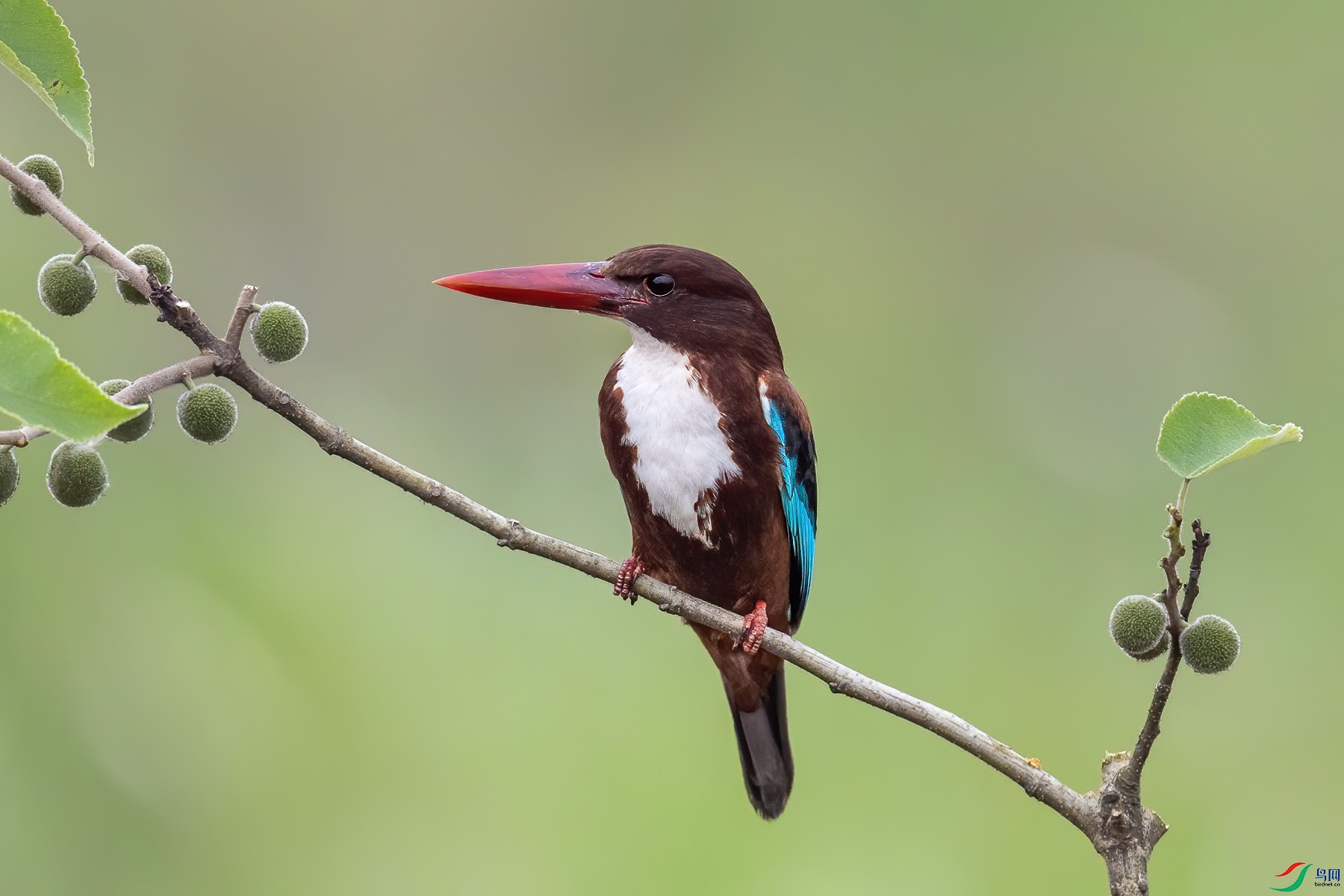 �������