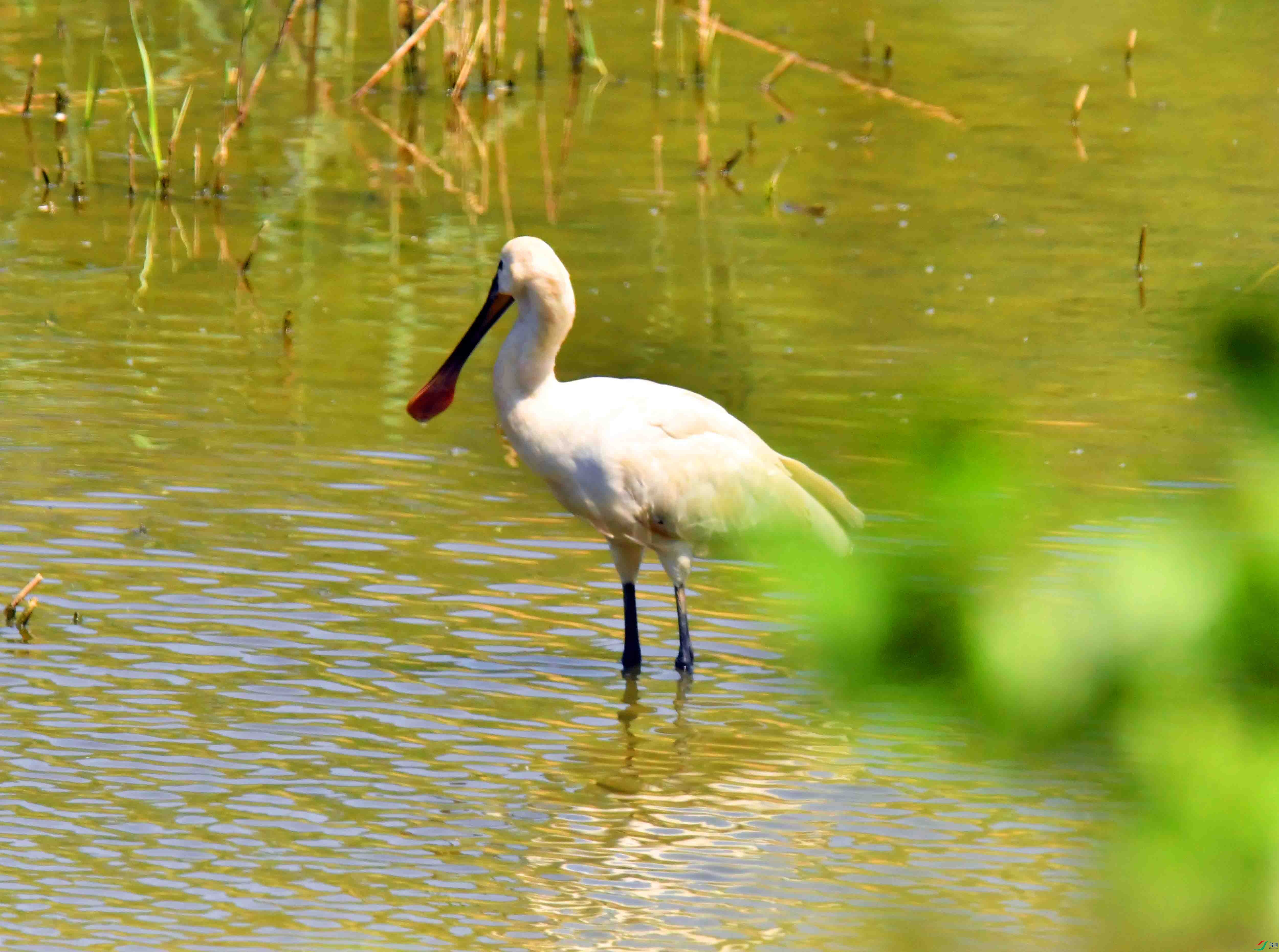 DSC_0141.JPG