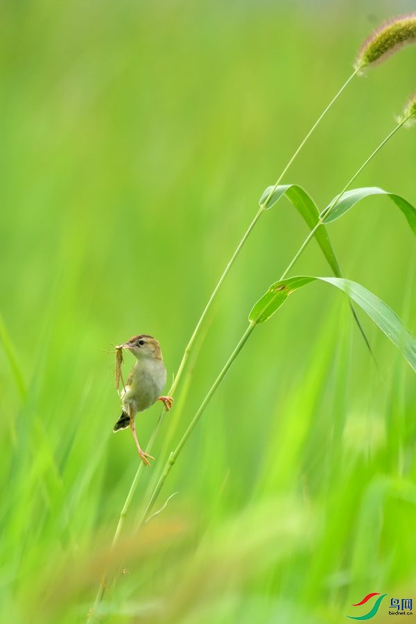 DSC_4611.JPG