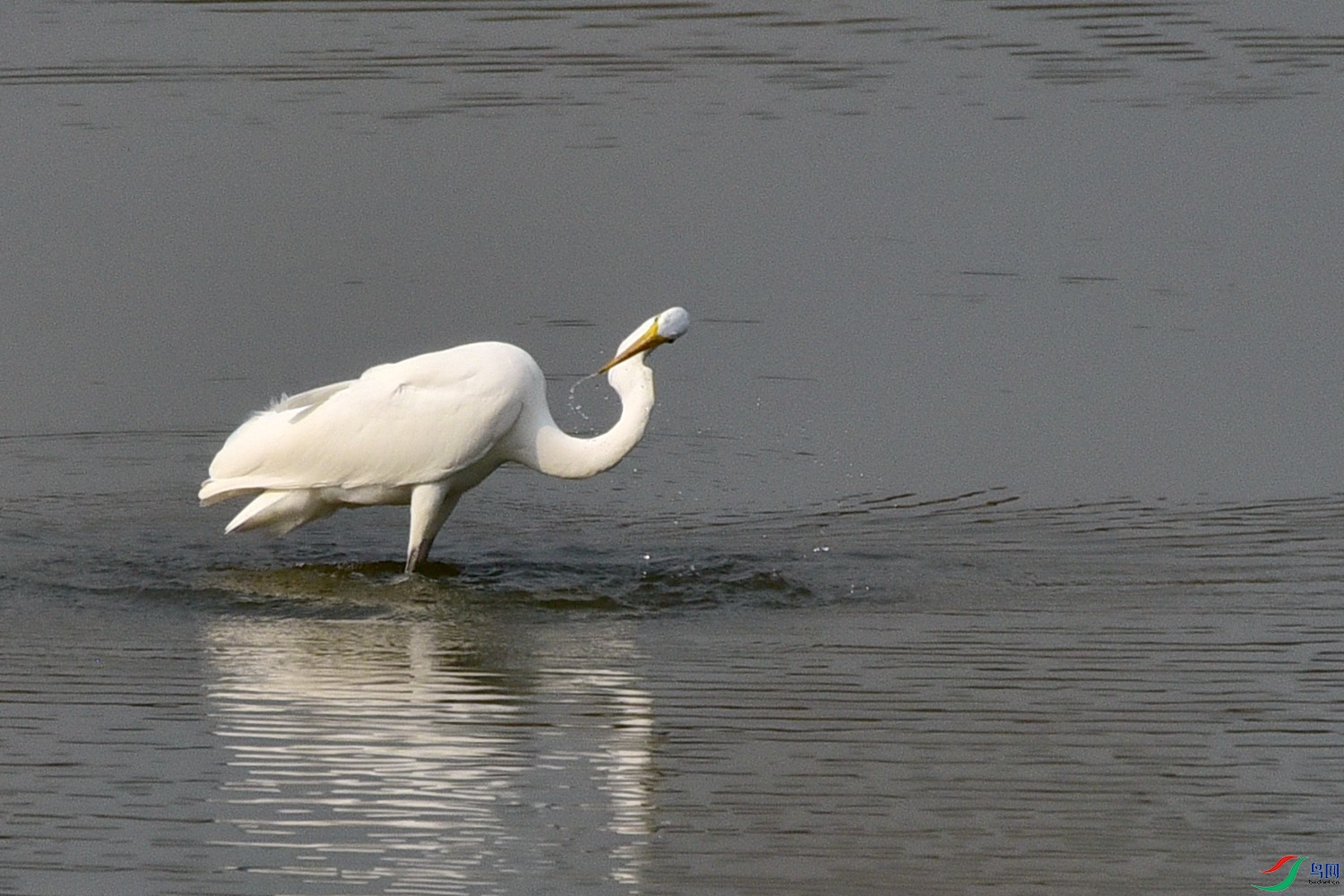 DSC_4007.JPG