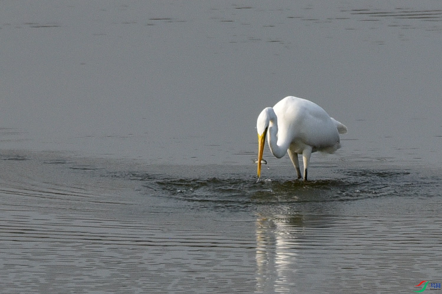 DSC_3994.JPG