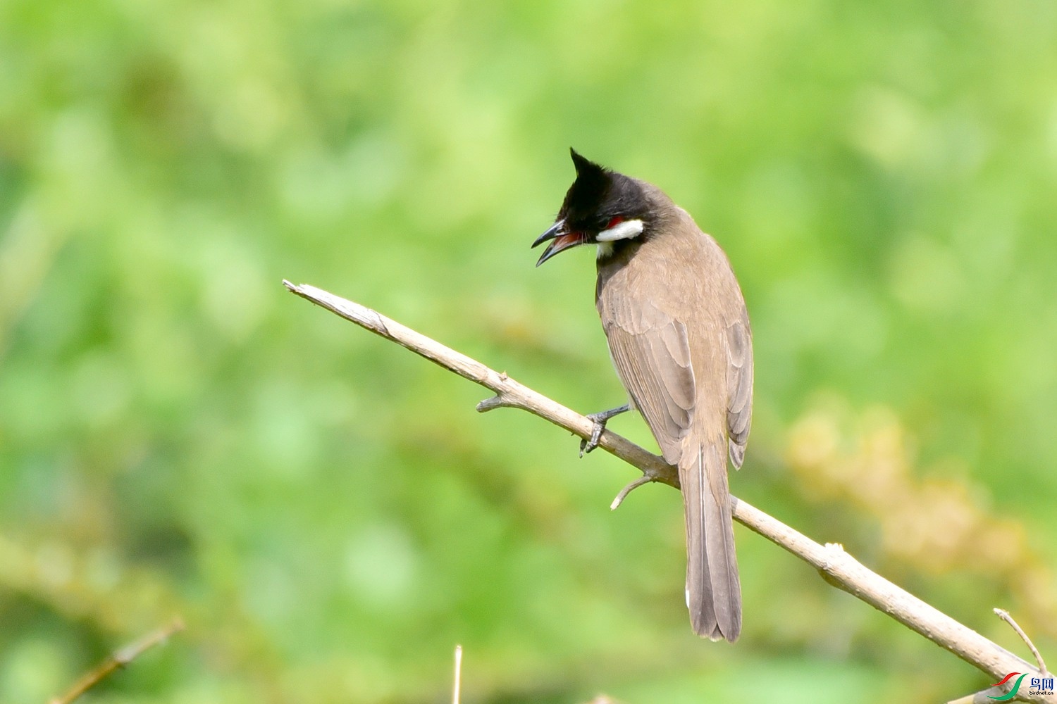 DSC_1813.JPG
