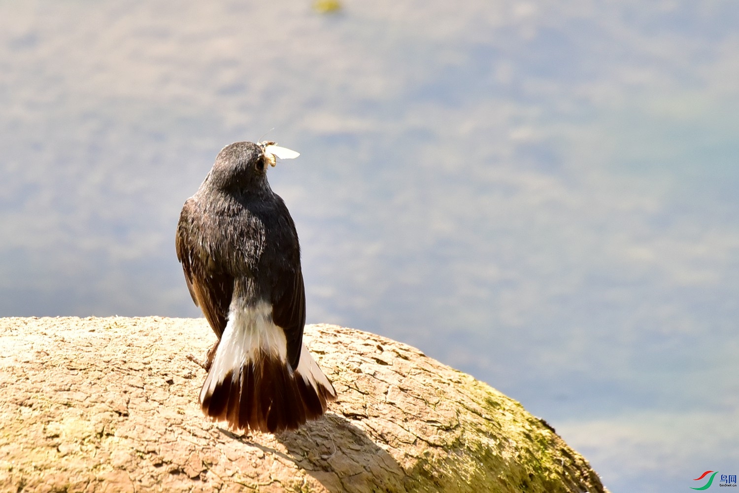 DSC_7477.JPG