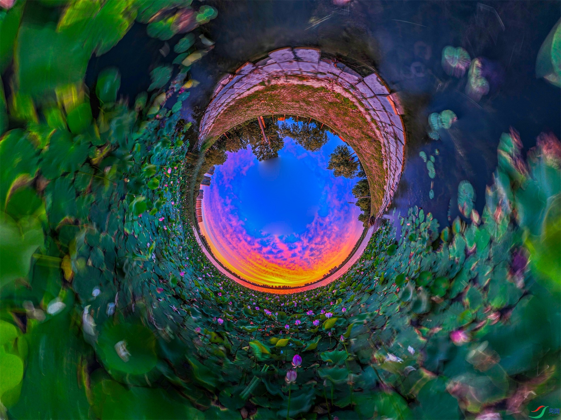 dji_export_20240726_184810_1721990890740_sphere_screenshot ����1.jpg