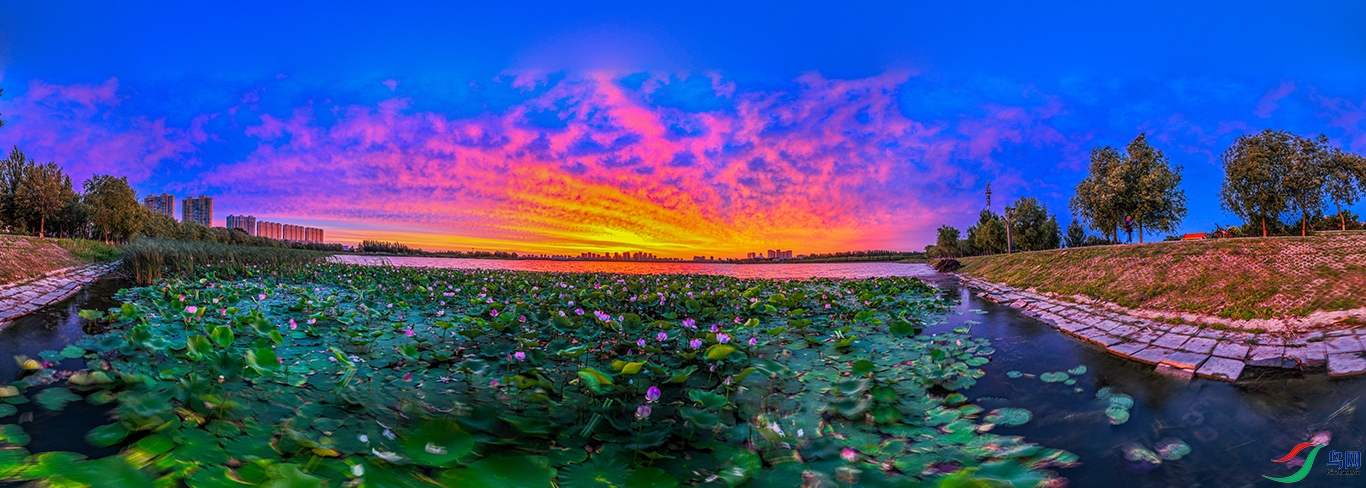 dji_fly_20240726_040748_612_1721990904305_pano ���� 1.jpg