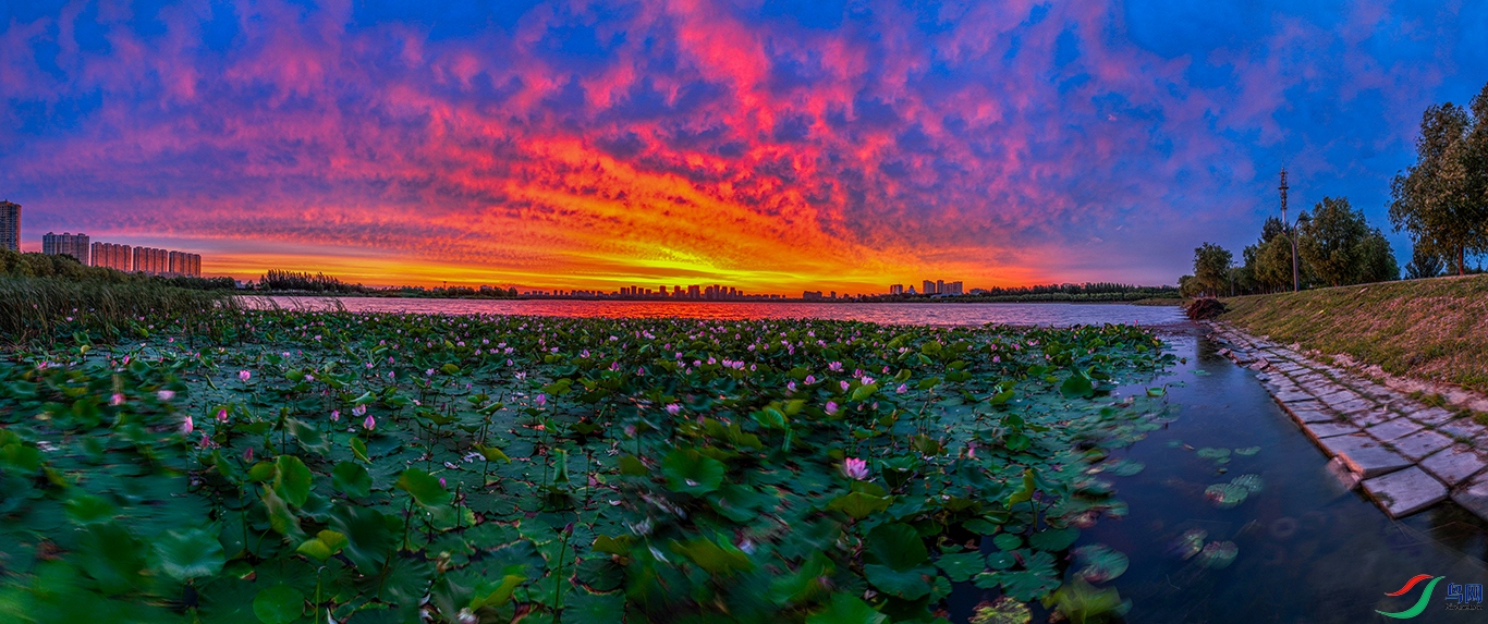 dji_fly_20240726_040610_611_1721990810725_pano ���� 1.jpg