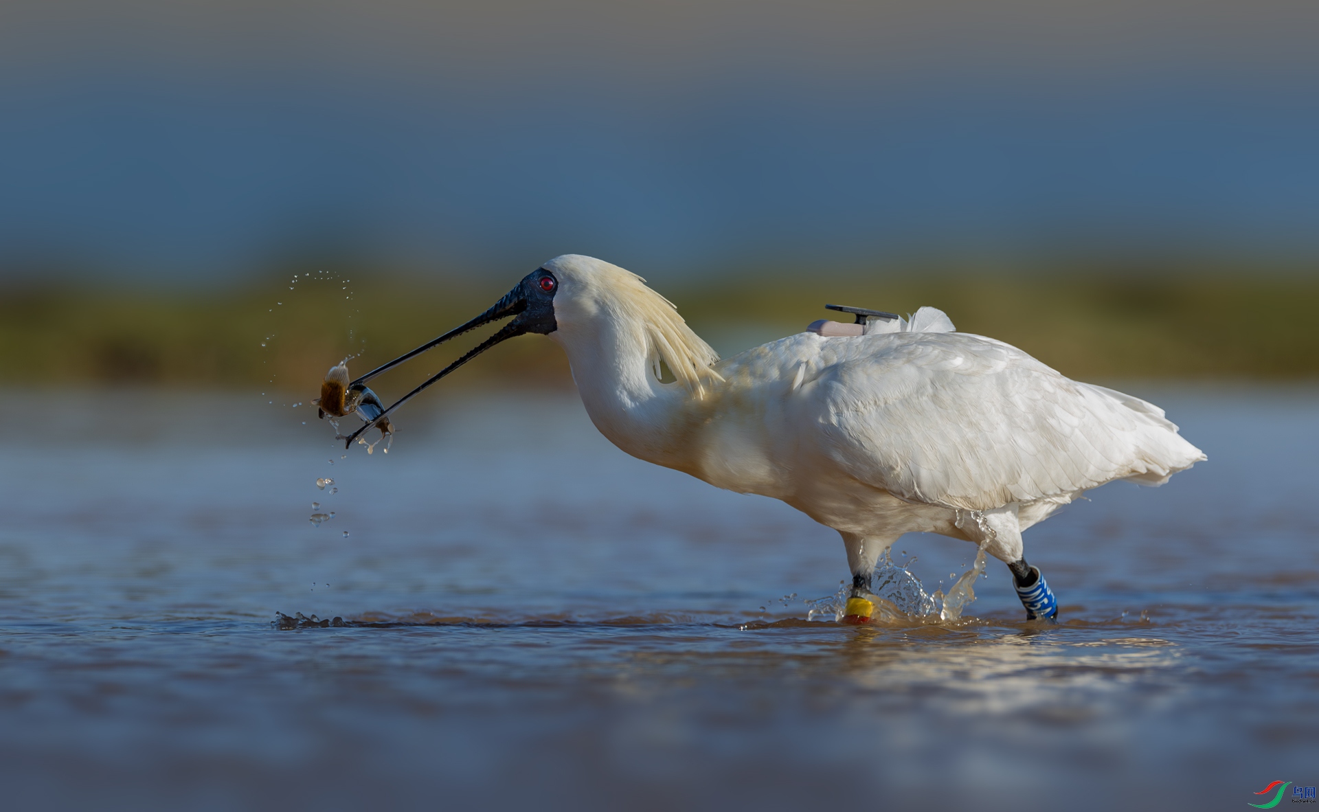 ����ʹ��