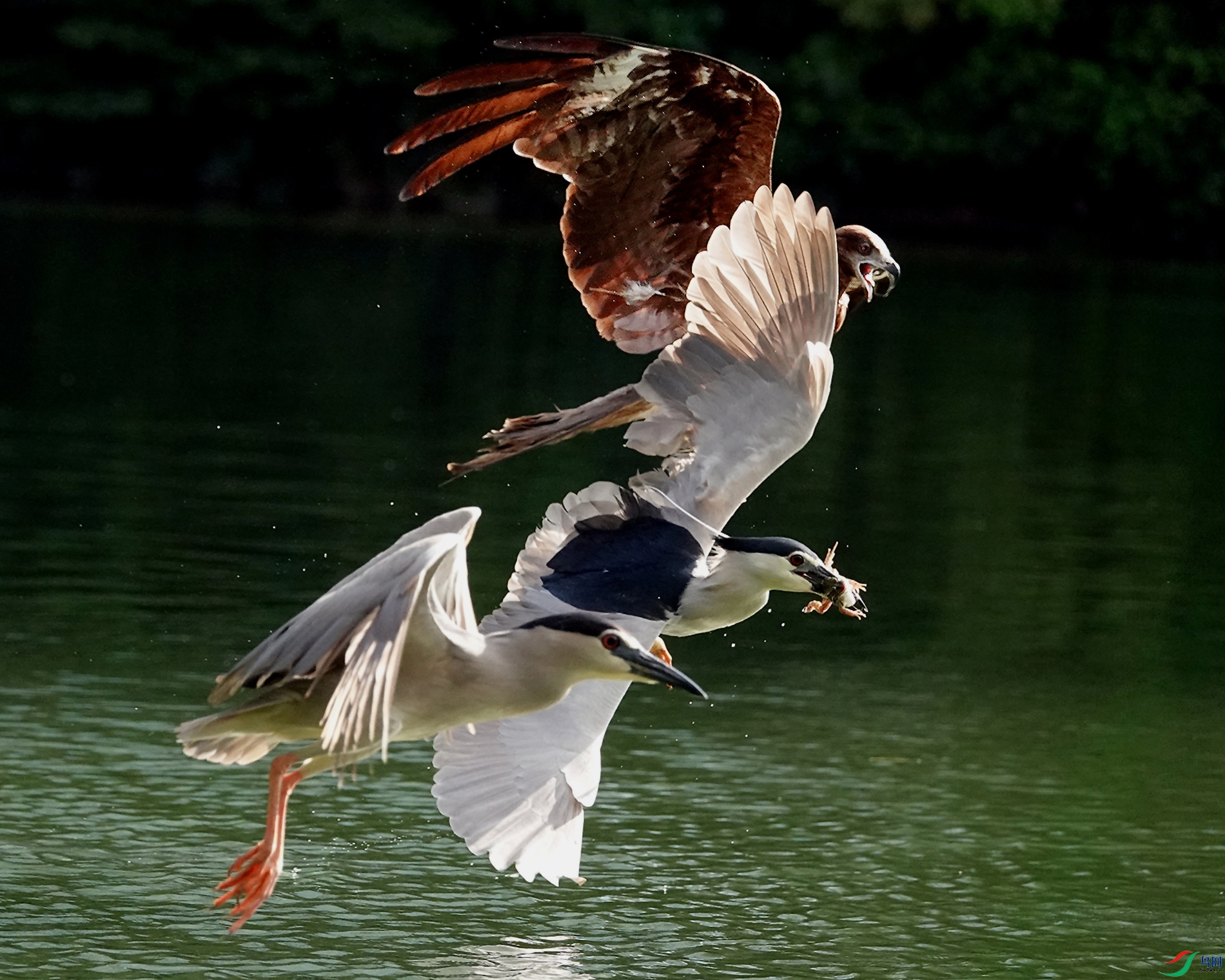 �ڶ�� (��ʮ��) (4).JPG