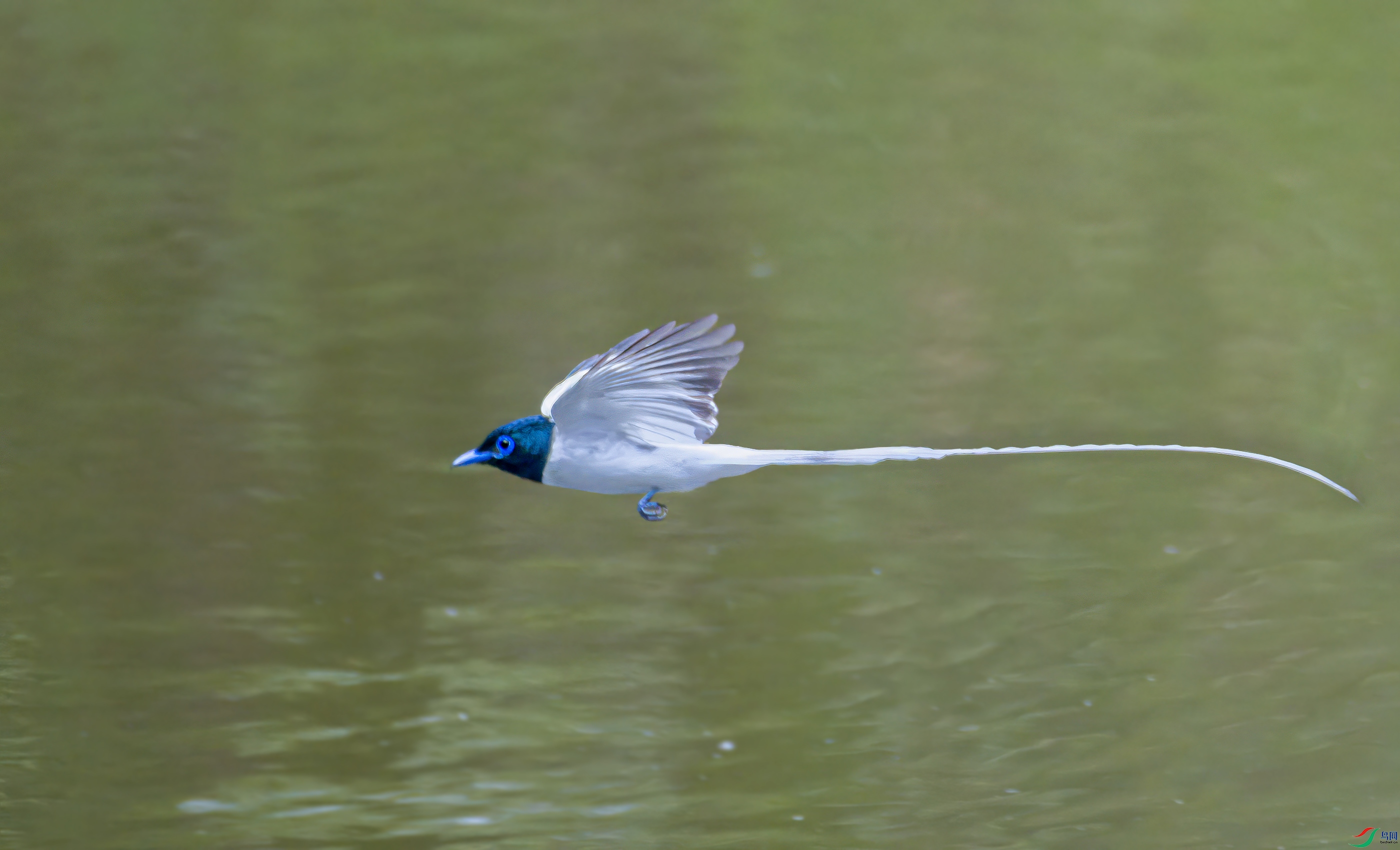 _D3I0411_DxO-2.jpg