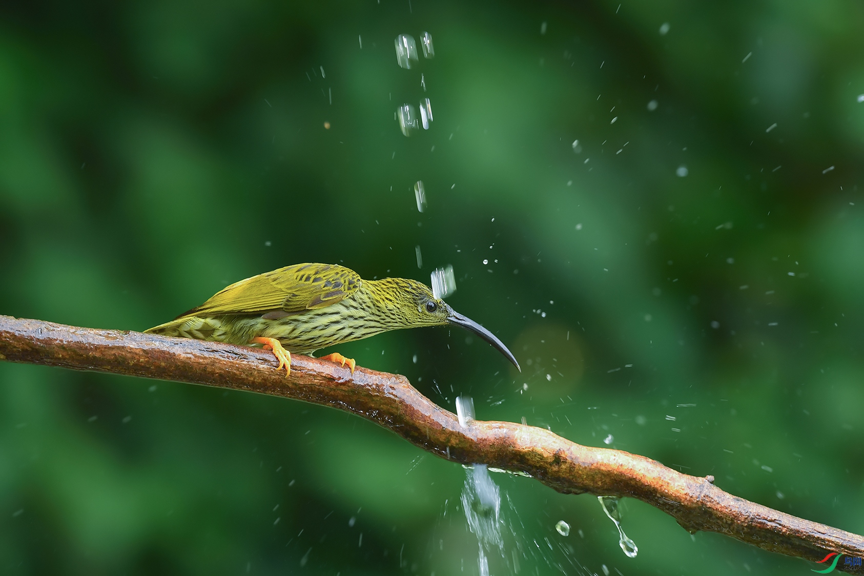 1DSC_3986_DxOa.jpg