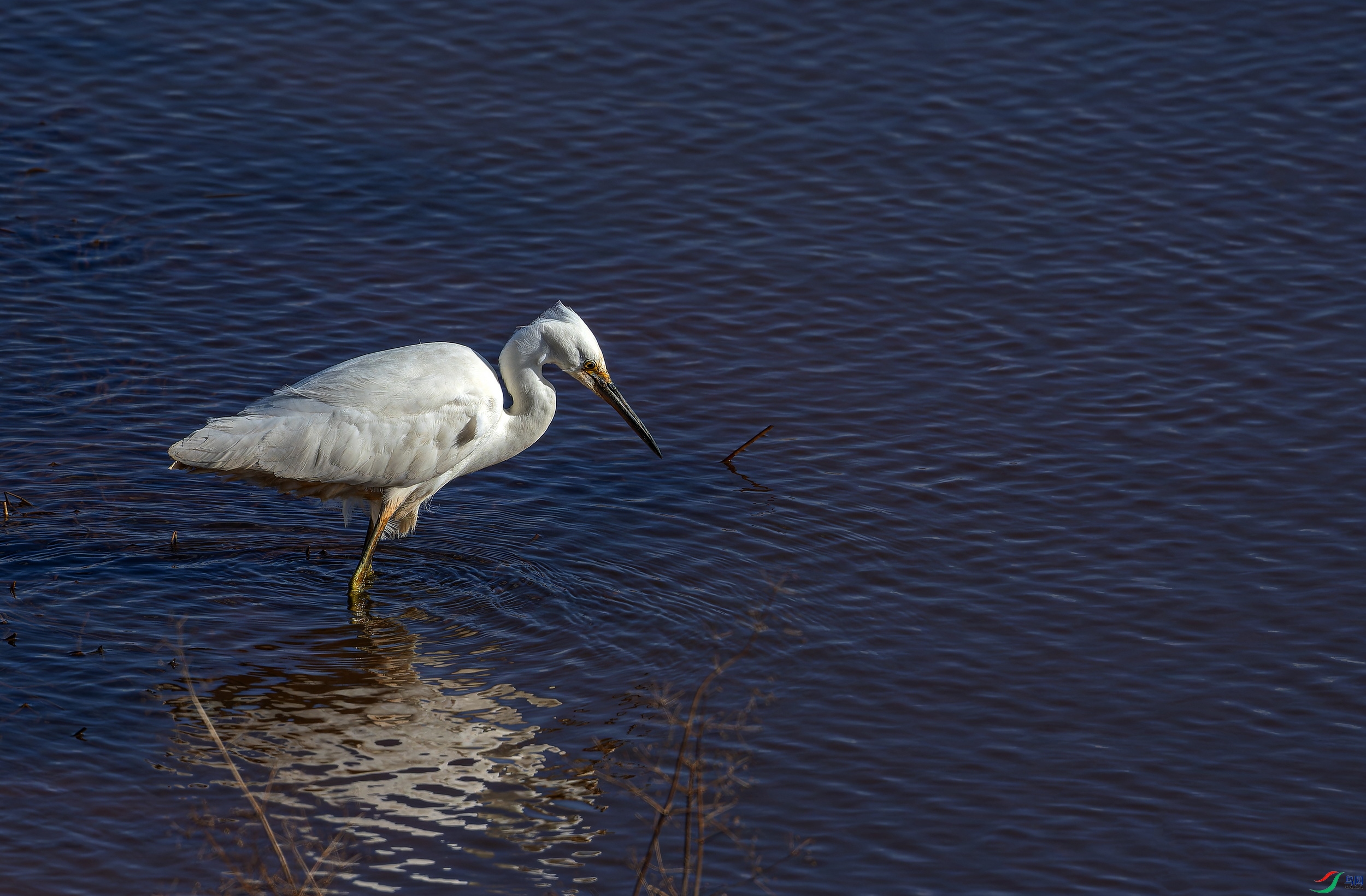 ���� (63)-1.jpg