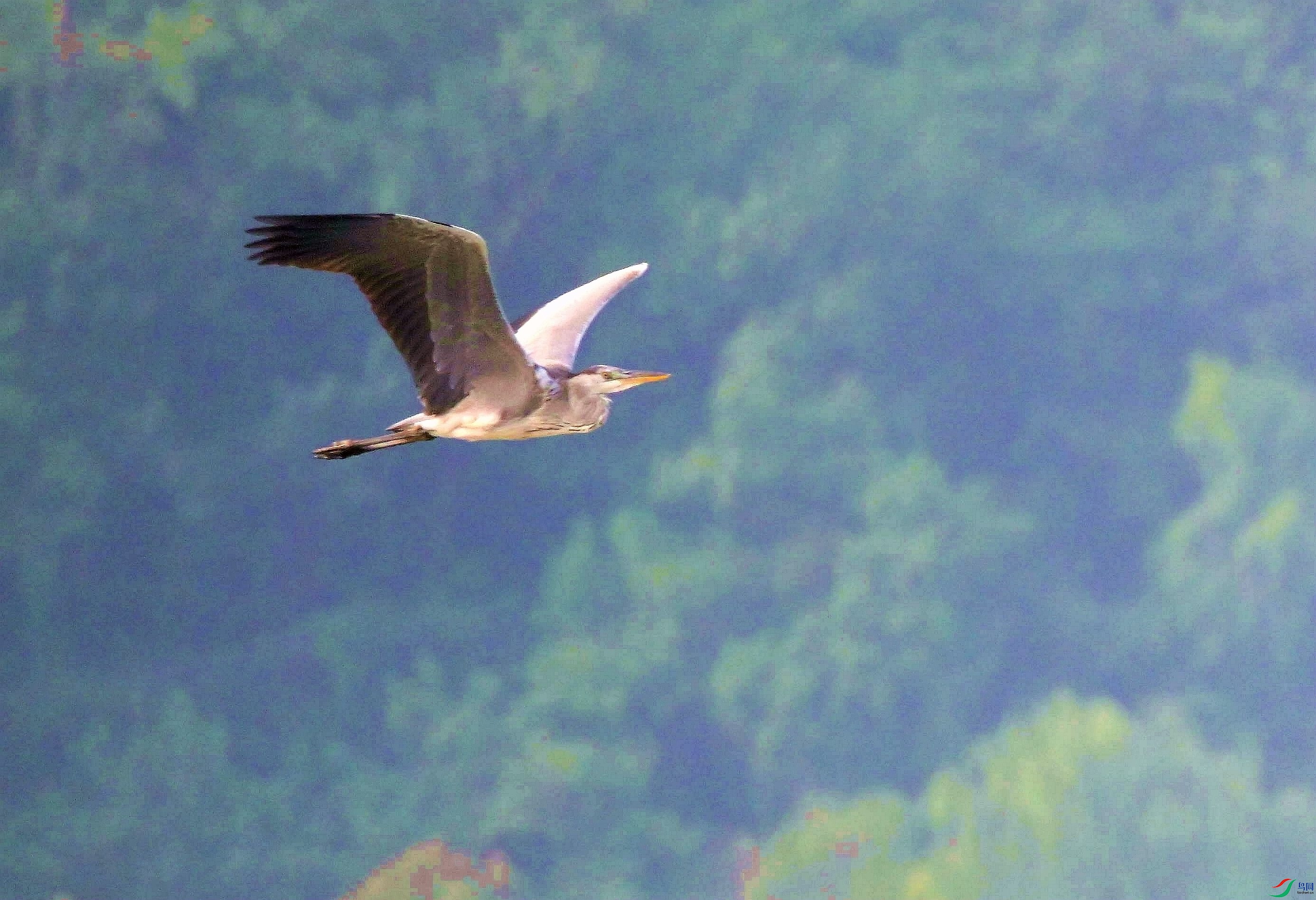 DSC_6189.jpg