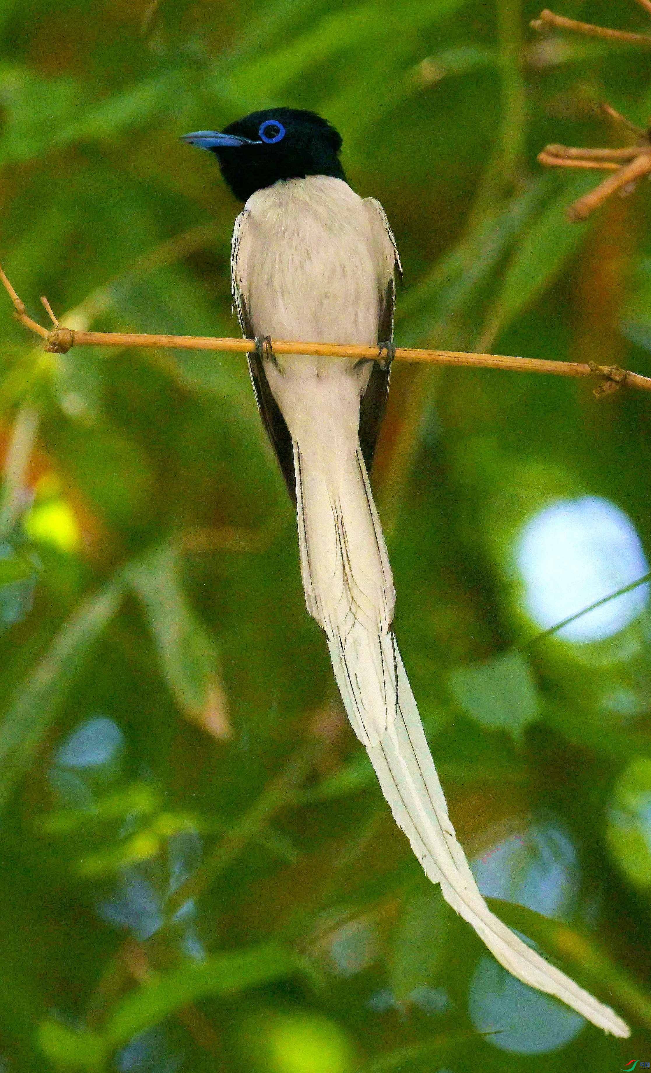 DSC_4948.jpg