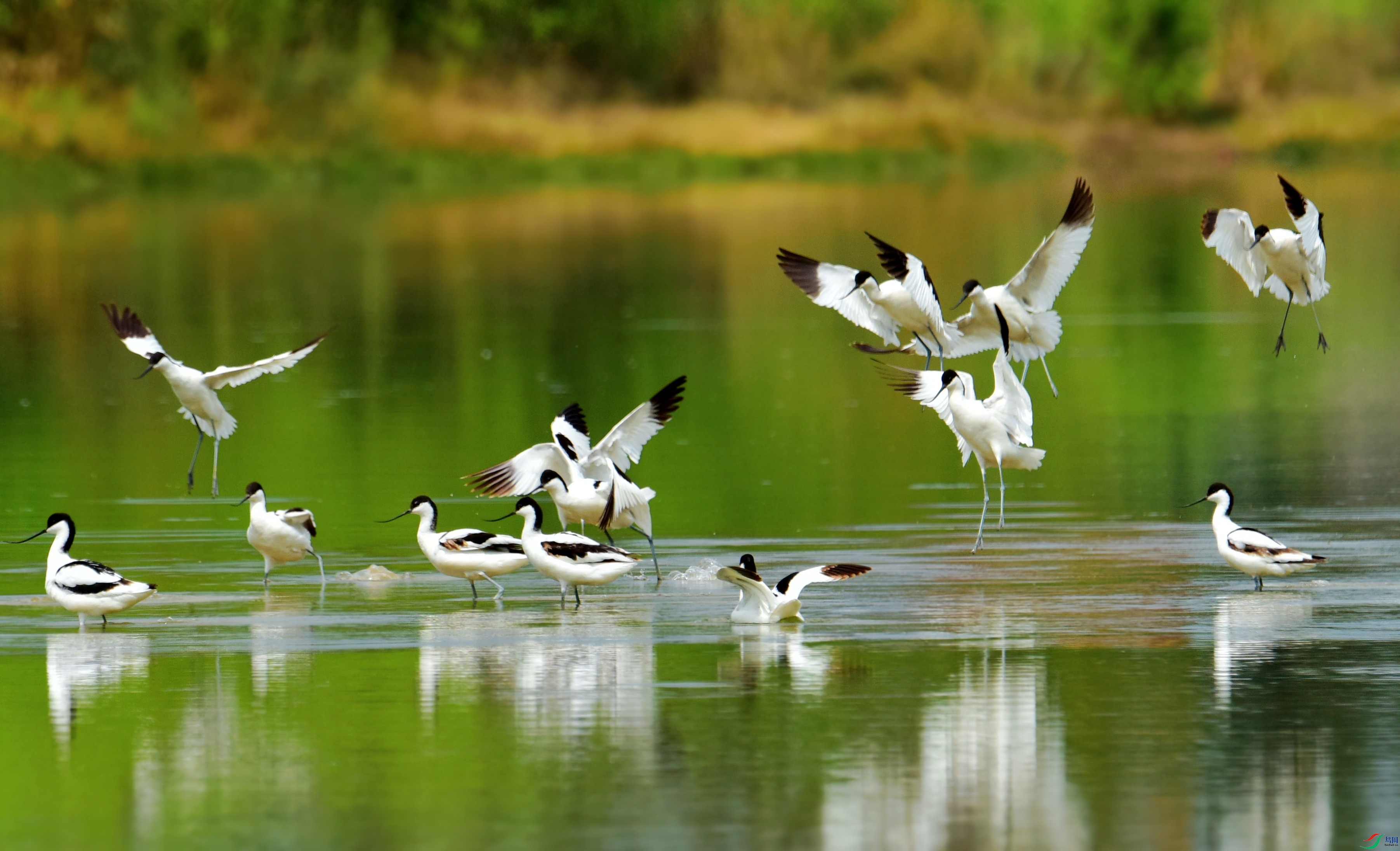 DSC_8447_conew6.jpg