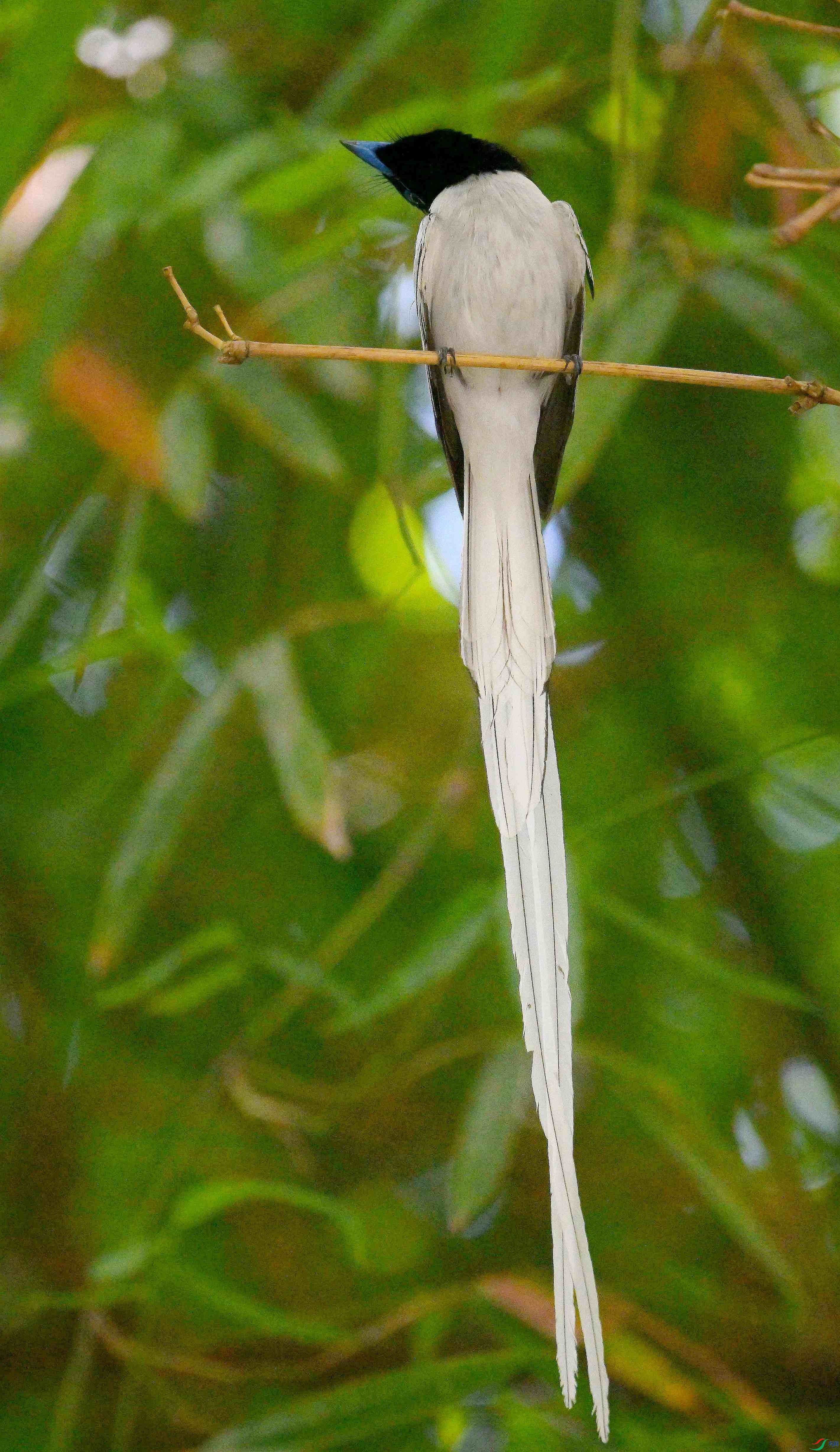 DSC_4768.jpg