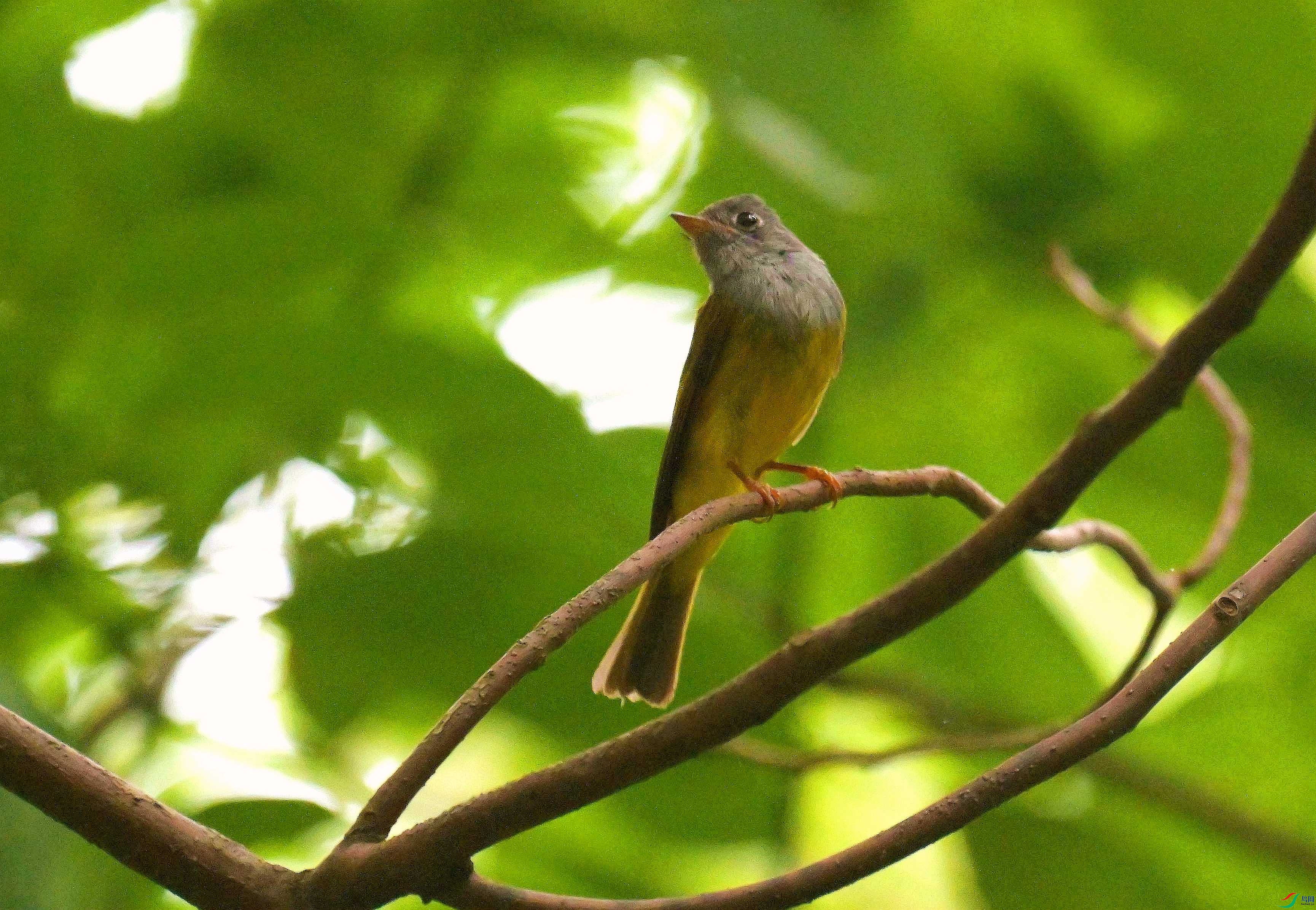 DSC_8884.jpg