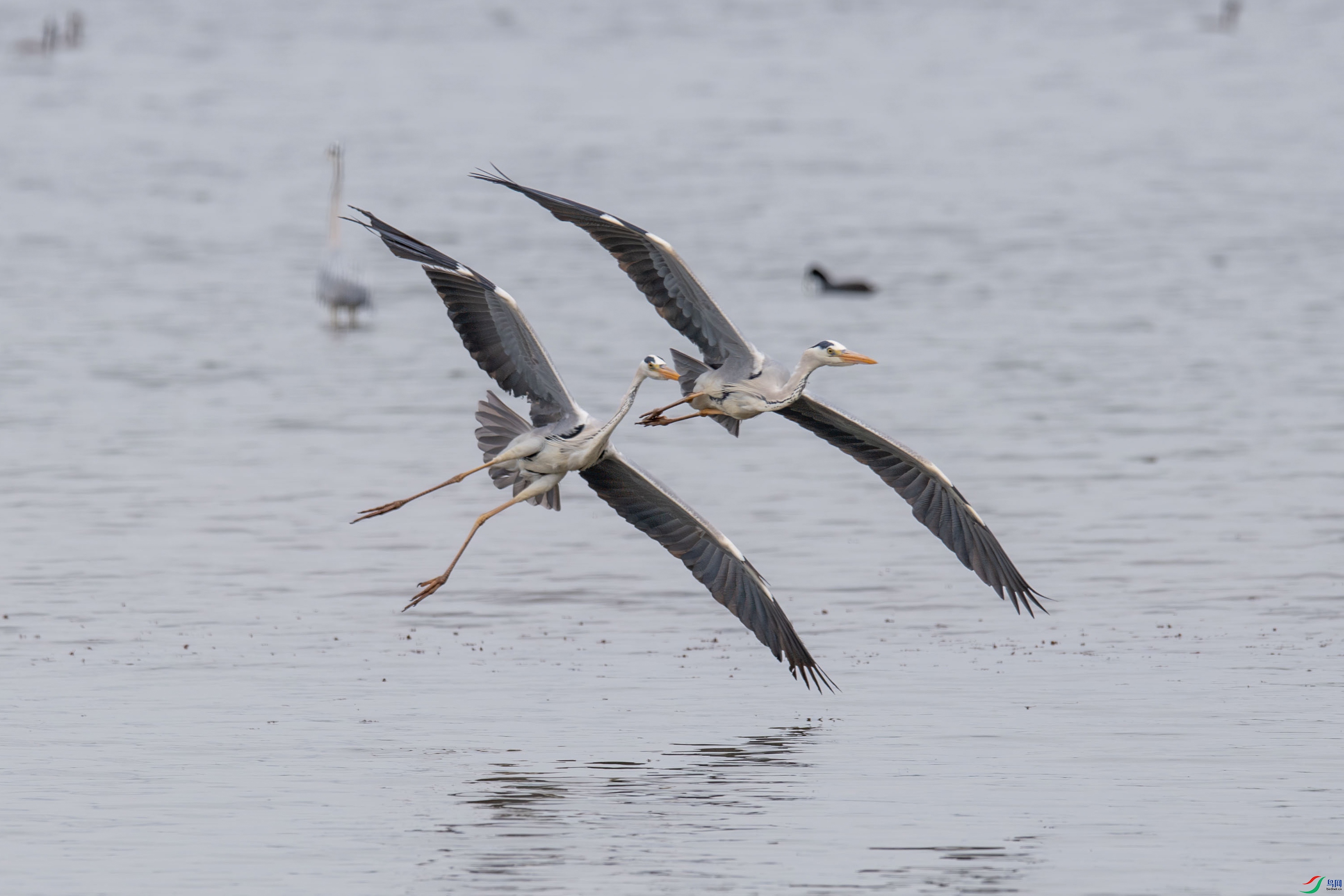 DSC_2050.jpg
