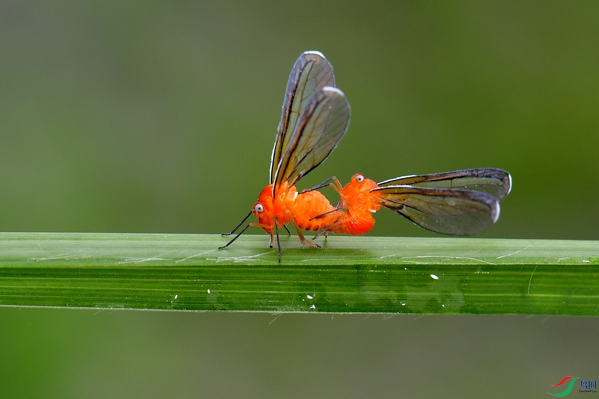 DSC_0679_����.jpg