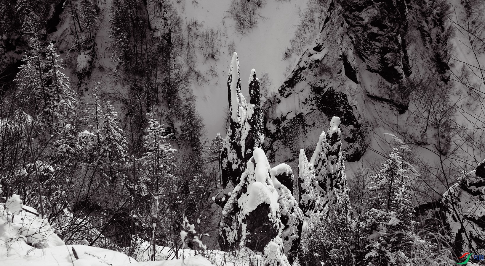 ����ɽ������Ͽ��