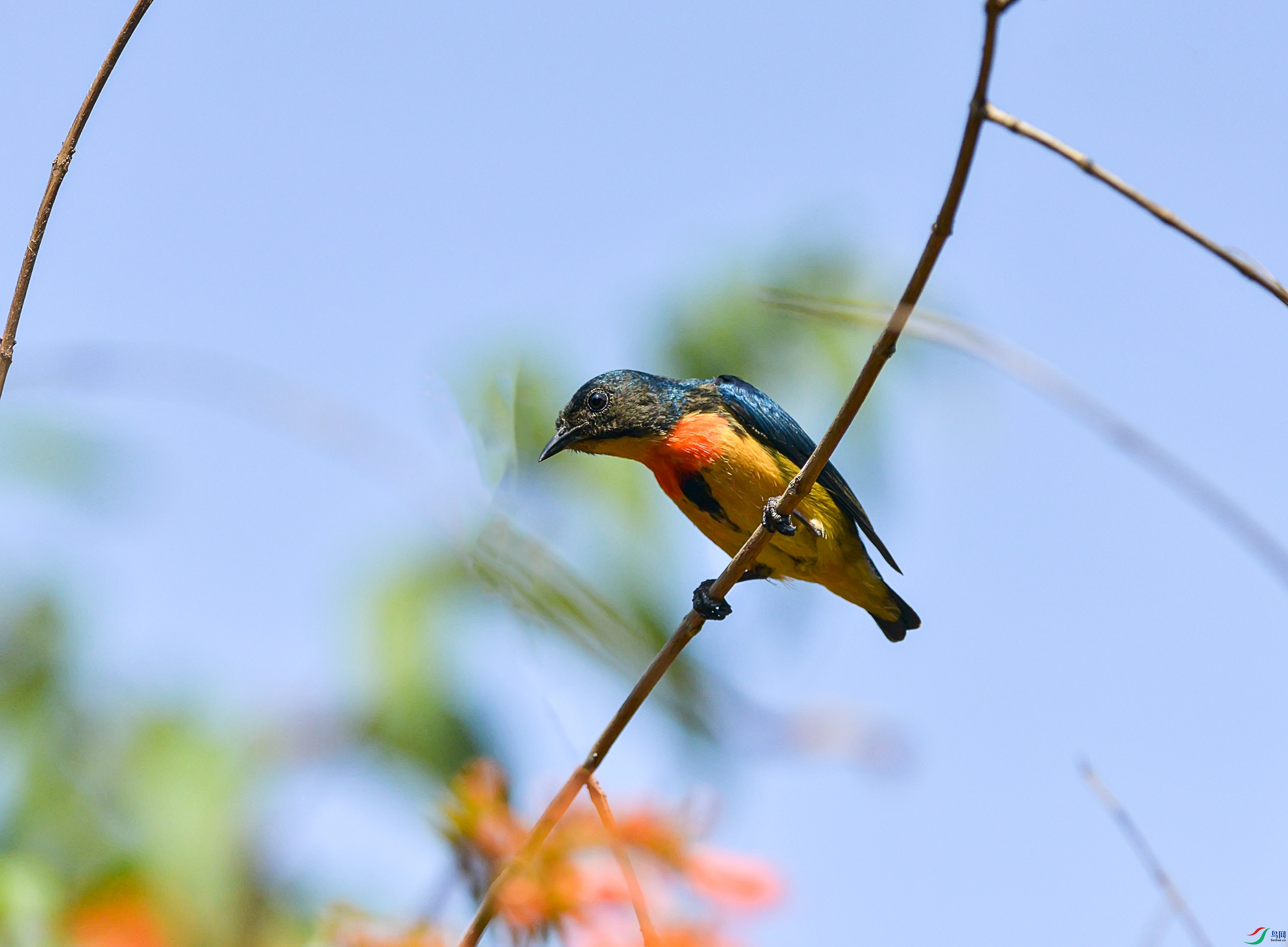 DSC_5291.jpg