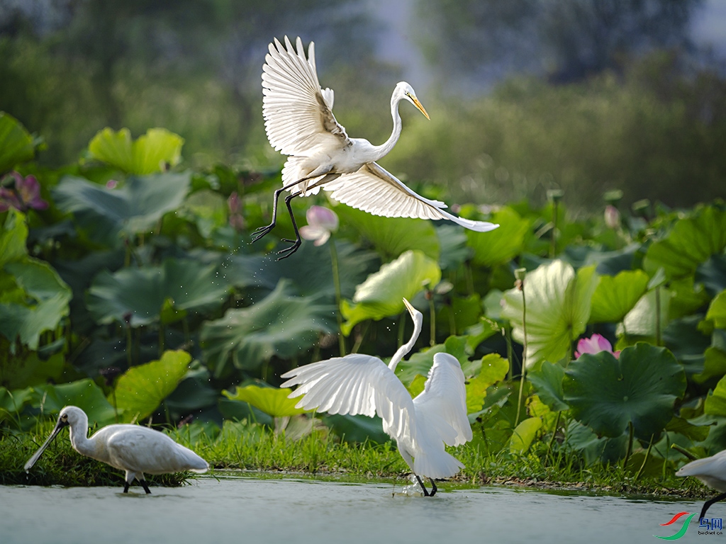 ��Ҫ��ס�ҵ�����