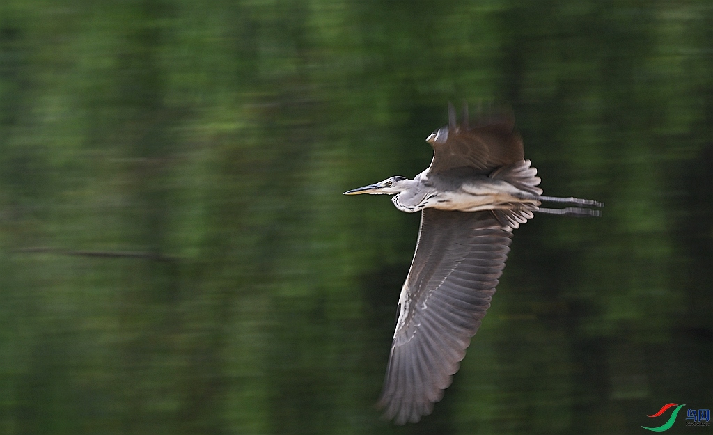 DSC_6258.JPG