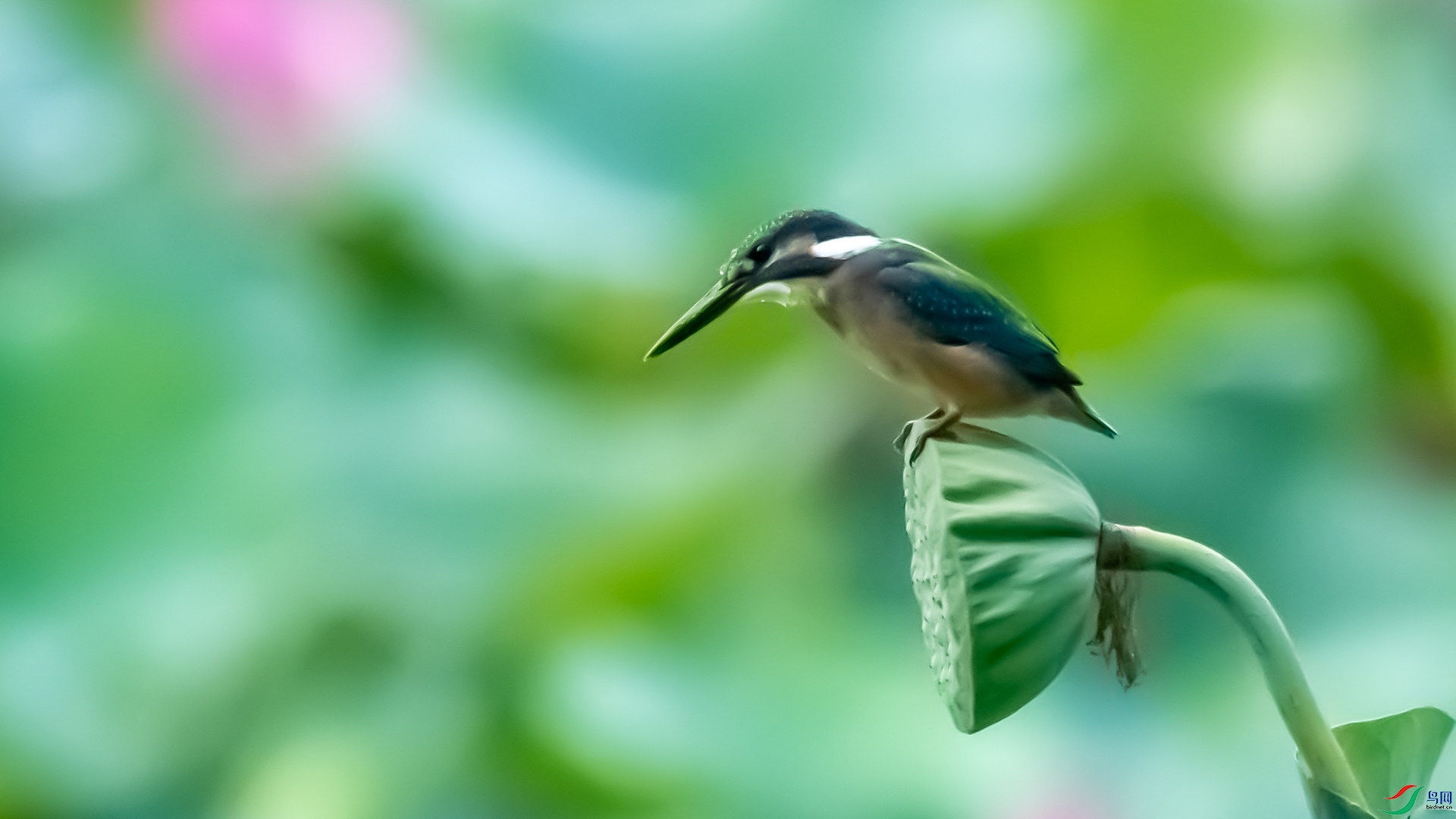 DSC_5630.jpg