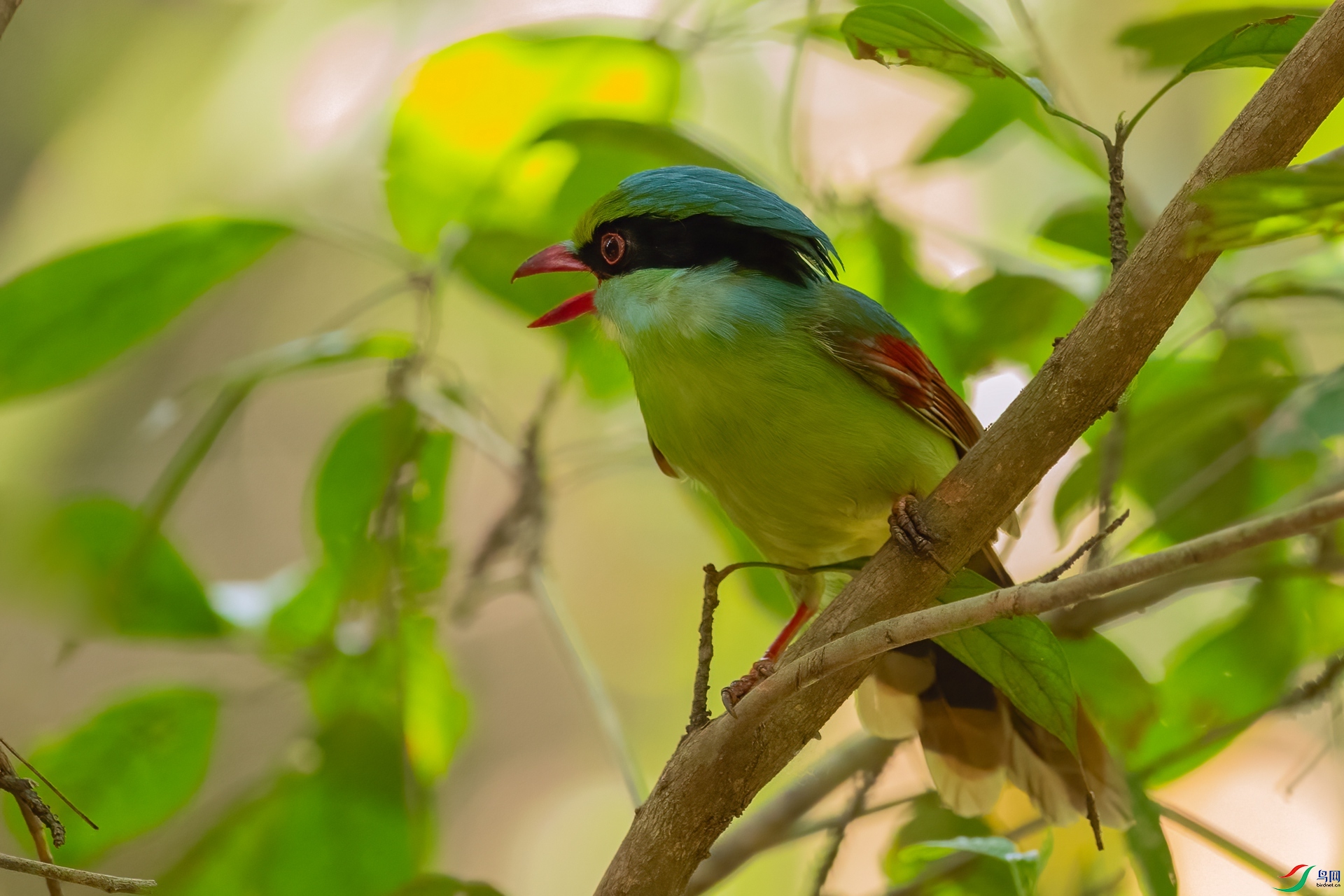 B86I5888 _����.jpg