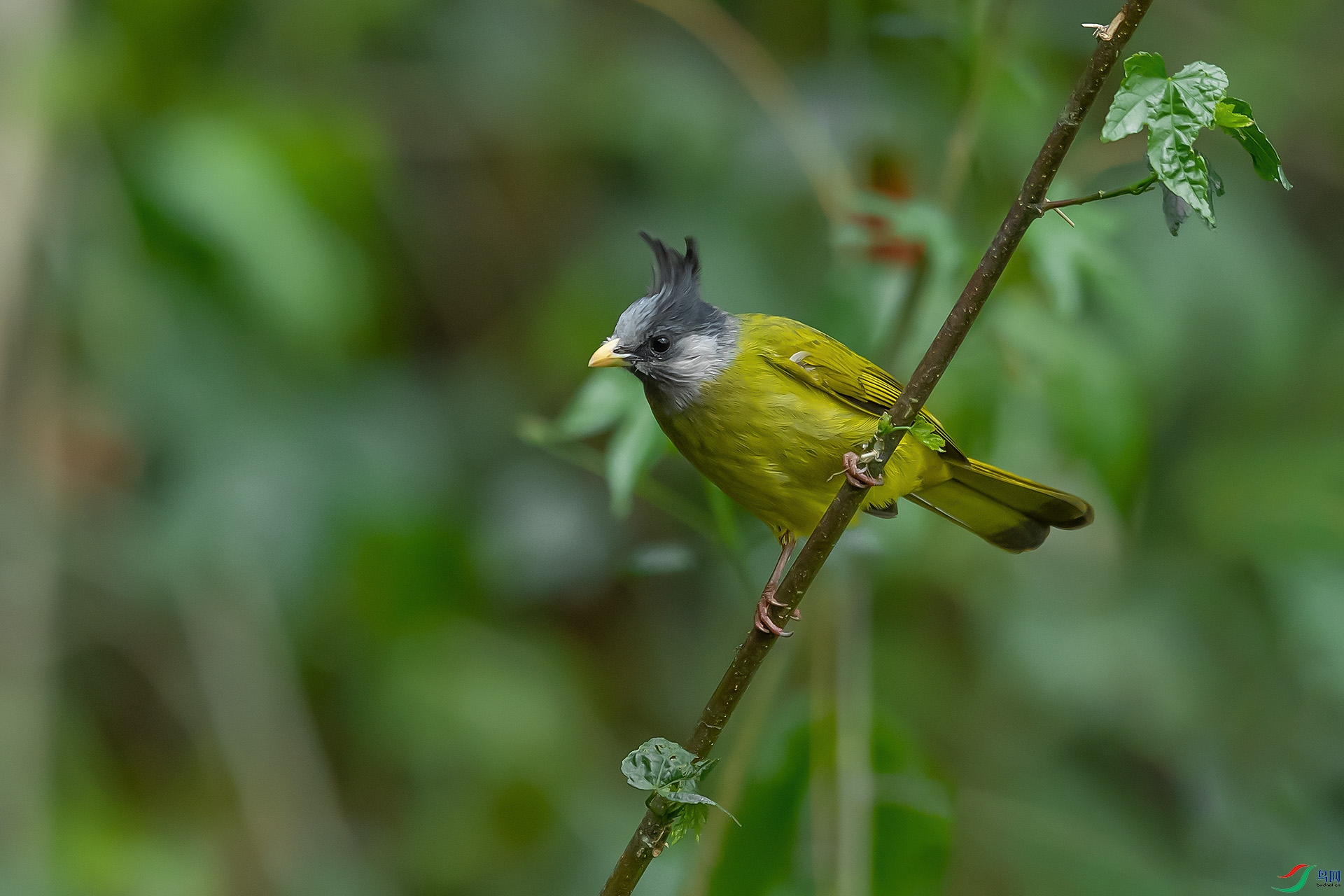 DSC_0274.jpg