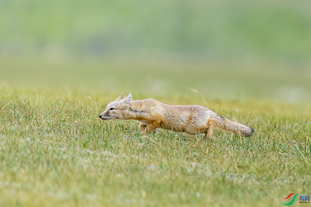 hbzjkR230610 (80).jpg